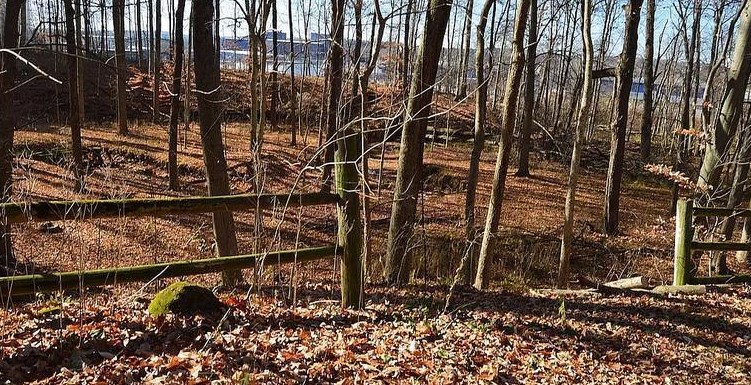 1387 Orchard Park Rd, Mansfield OH  44904-1316 exterior