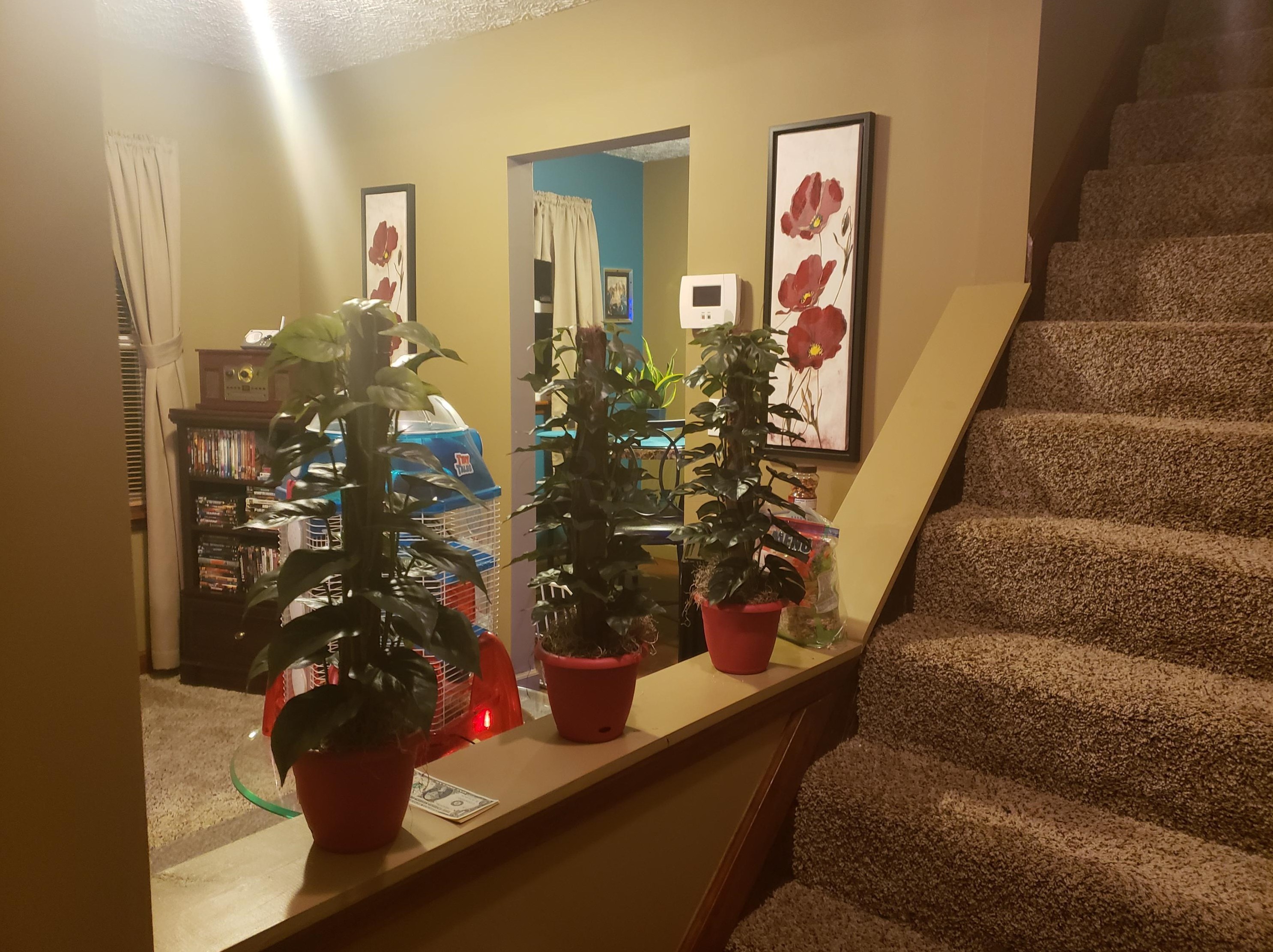 2669 Clime Rd, Columbus OH 43223-3624 exterior