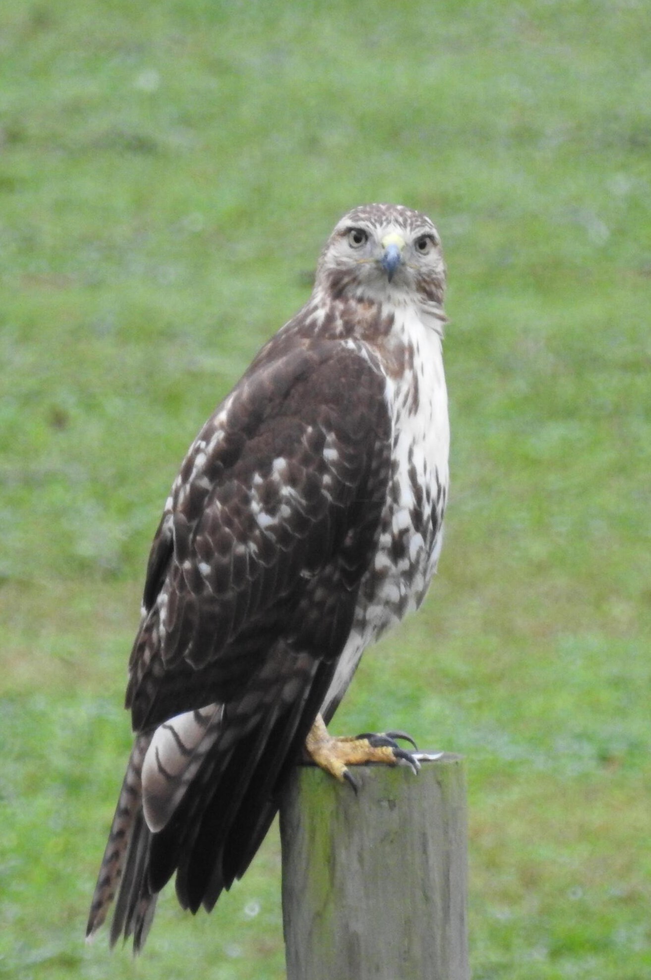 10863 16th Rd, Stoutsville OH  43154-9547 exterior