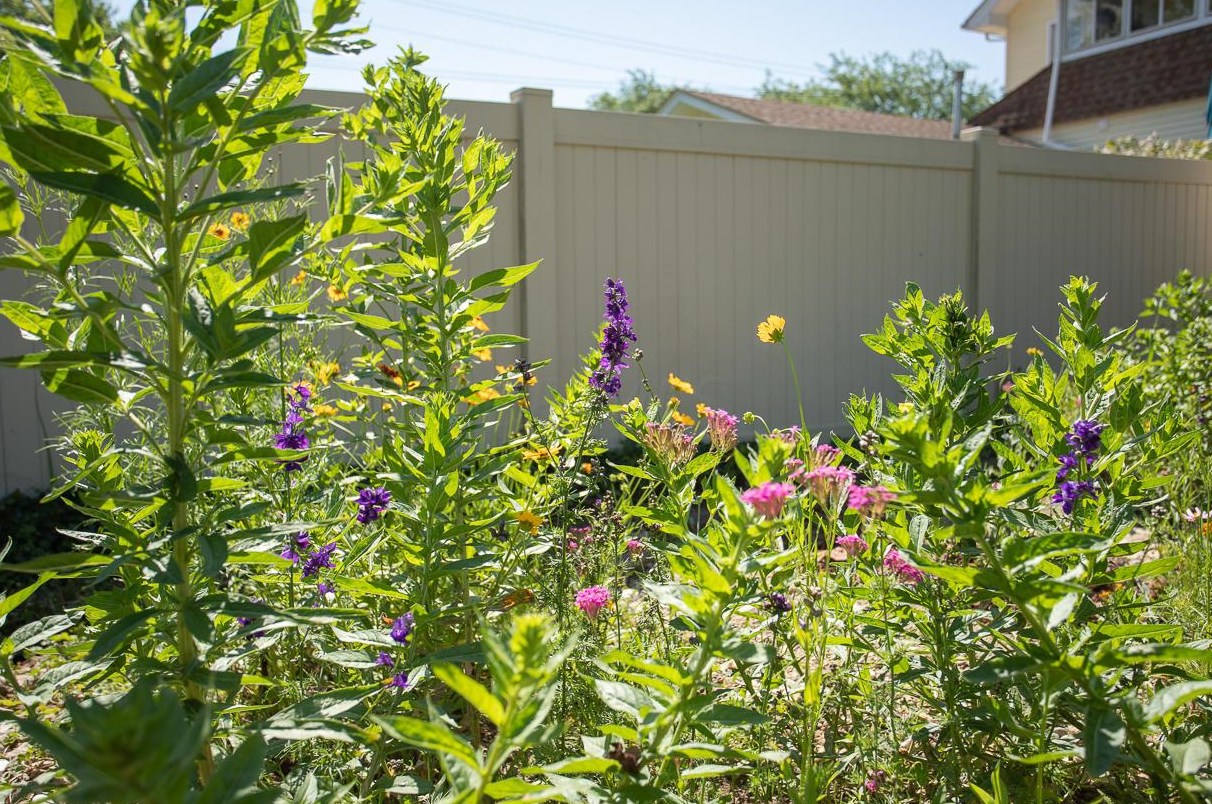 390 Dunedin Rd, Columbus OH  43214-3806 exterior