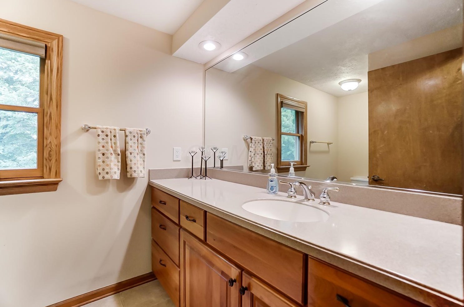 13114 Oakmere Dr, Pickerington OH  43147-9005 exterior