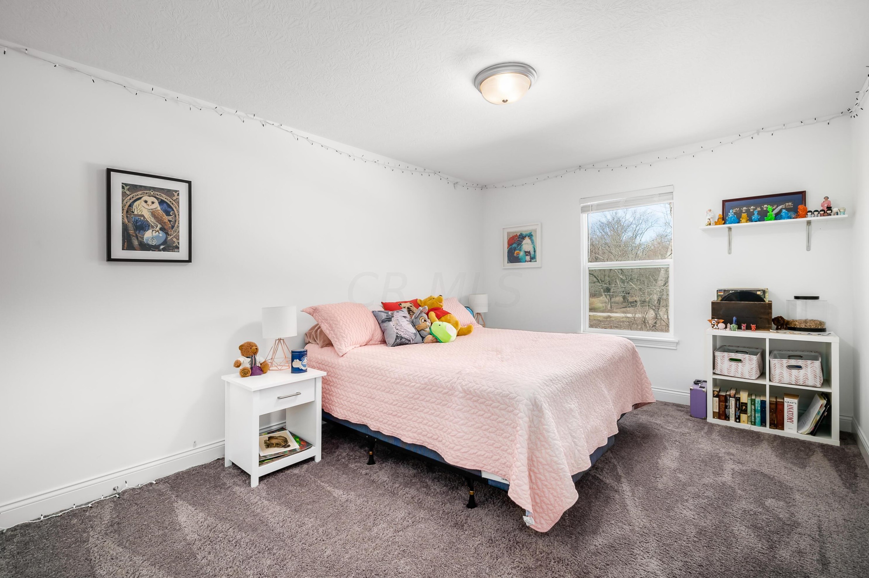 3766 Earl Ave, Columbus OH 43219-3620 exterior