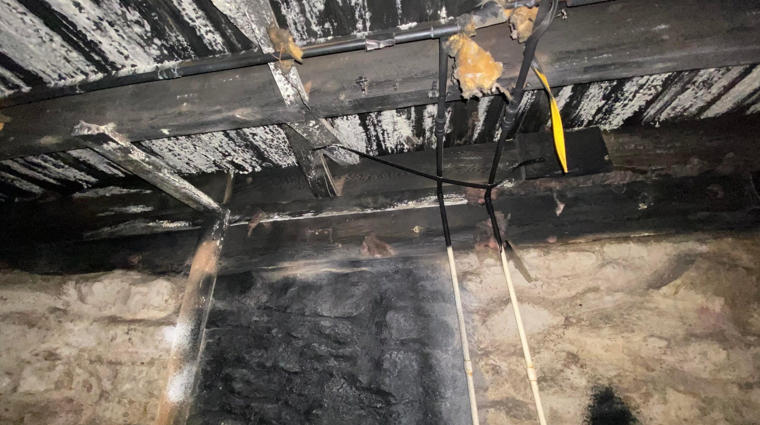 154 Oakley Ave, Columbus OH 43204-3217 exterior