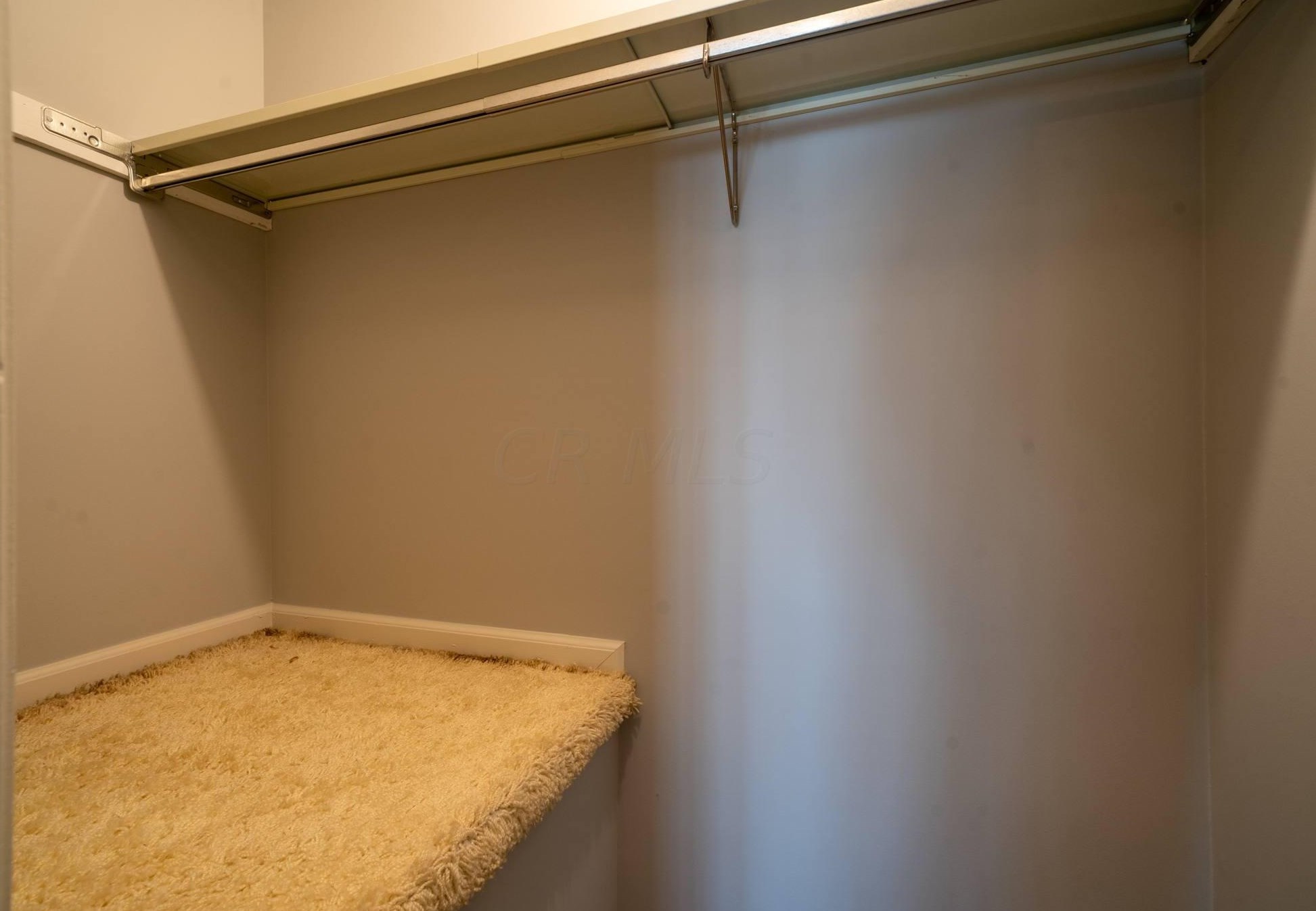 5123 Ranstead Ct, Columbus OH 43220-2545 exterior