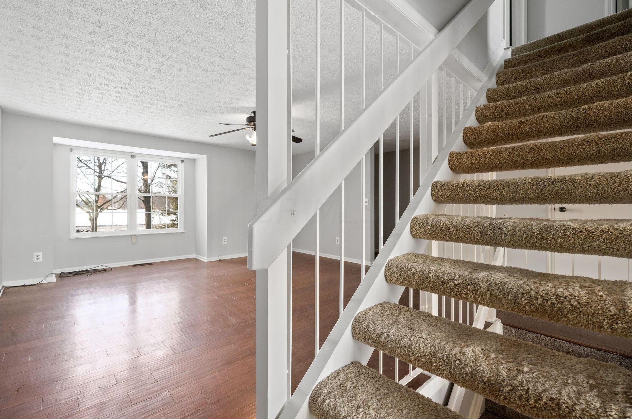 5123 Ranstead Ct, Columbus OH 43220-2545 exterior