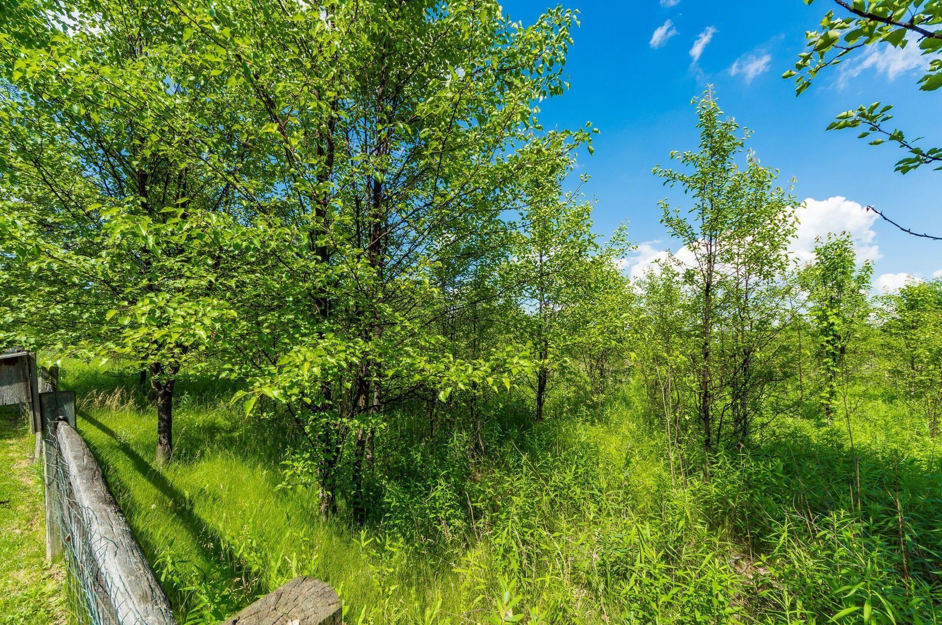 5411 Covington Mdw Dr, Westerville OH  43082-8366 exterior