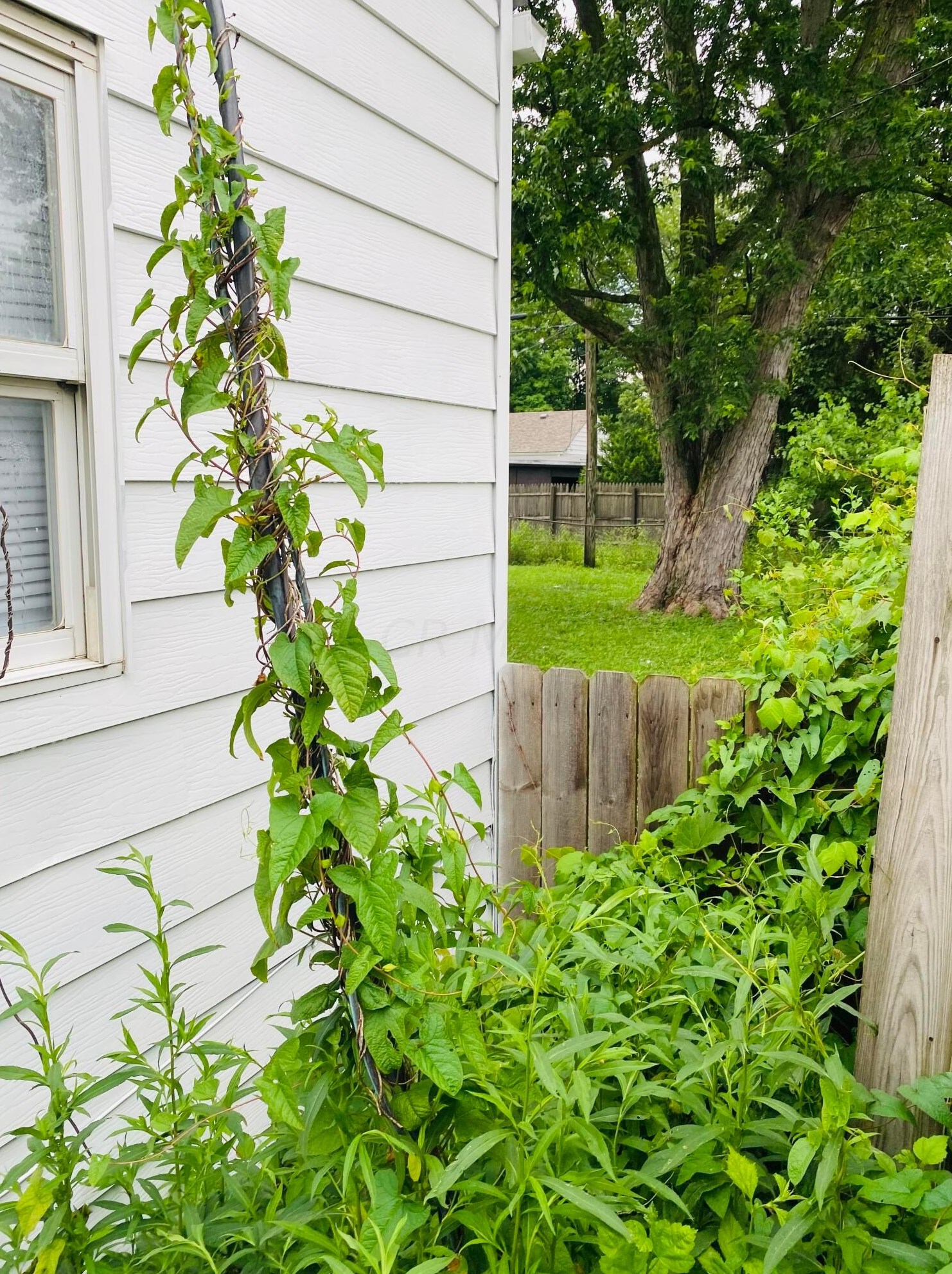 1076 Ashburton Rd, Columbus OH  43227-1031 exterior