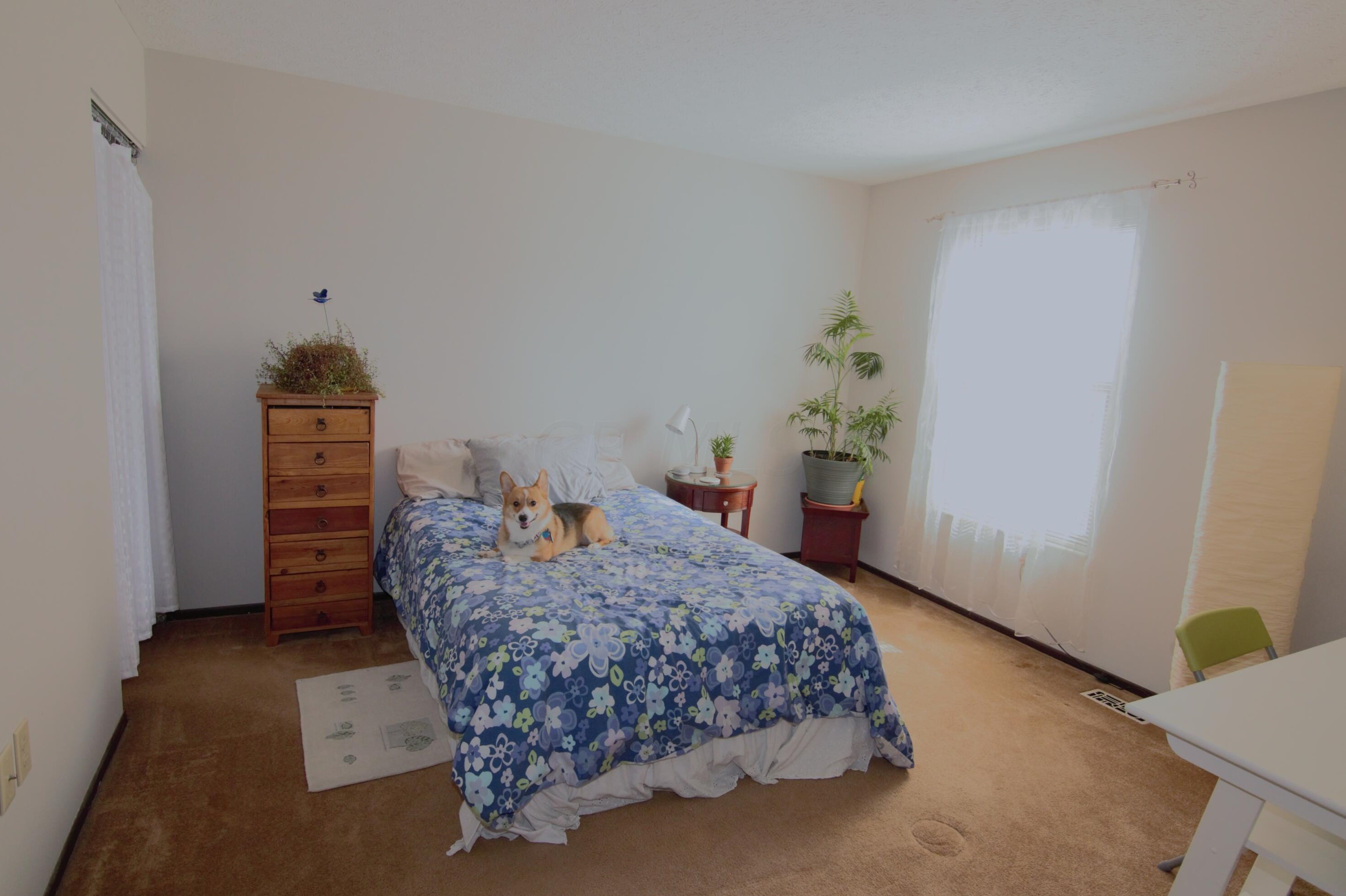 2287 Laurelwood Dr, Columbus OH 43229-9602 exterior