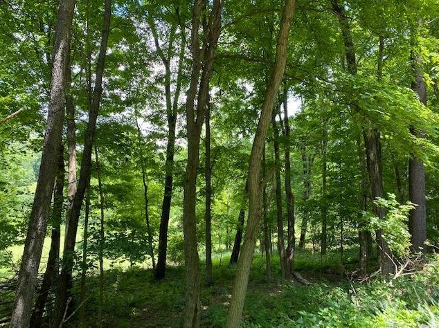 2300 Mount Herman Rd, Granville OH  43023-9000 exterior