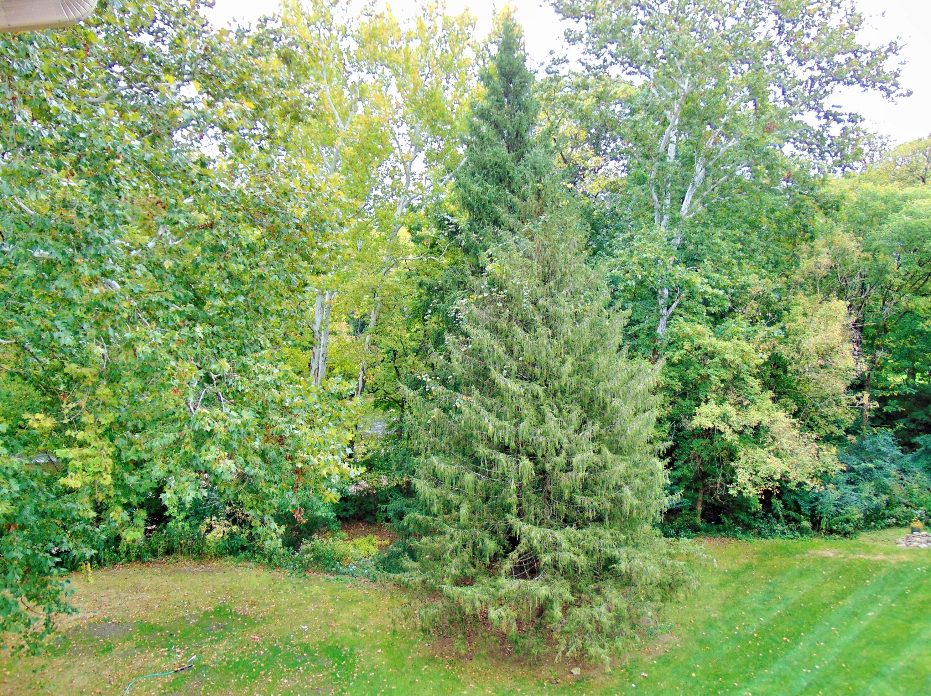 8172 Mt Air Pl, Columbus OH 43235-1358 exterior