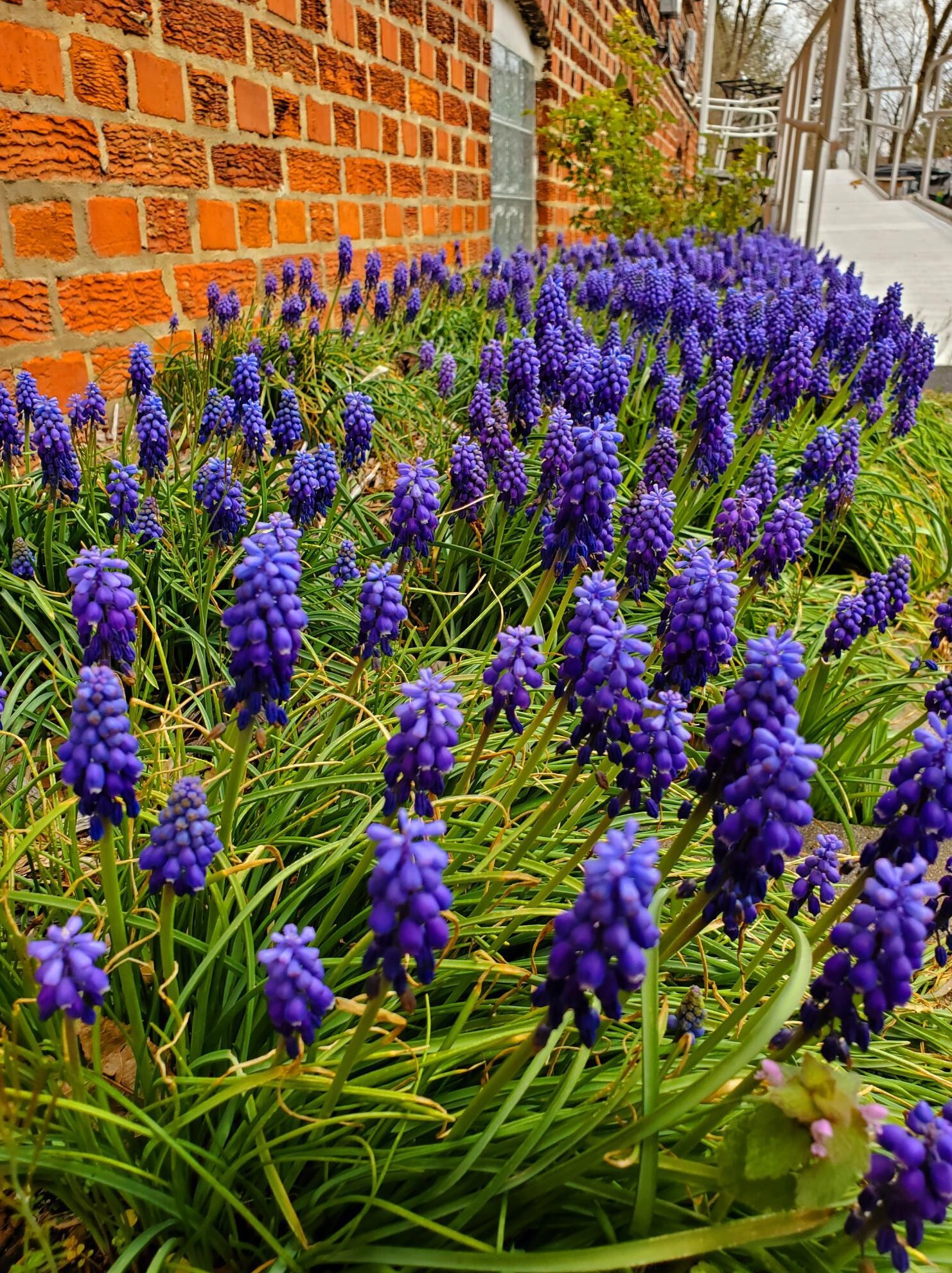 602 Collingwood Ave, Columbus OH 43213-1788 exterior