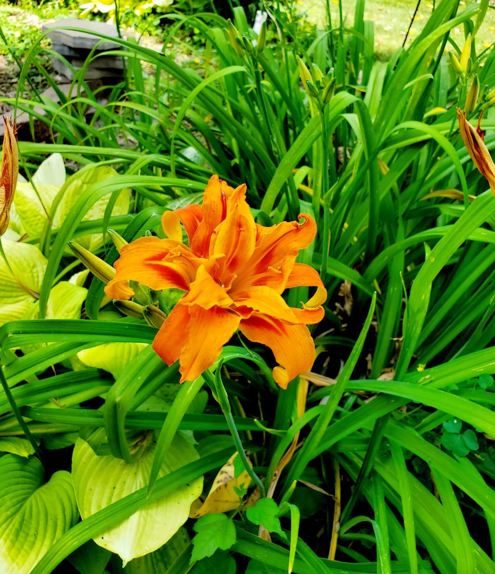 602 Collingwood Ave, Columbus OH 43213-1788 exterior