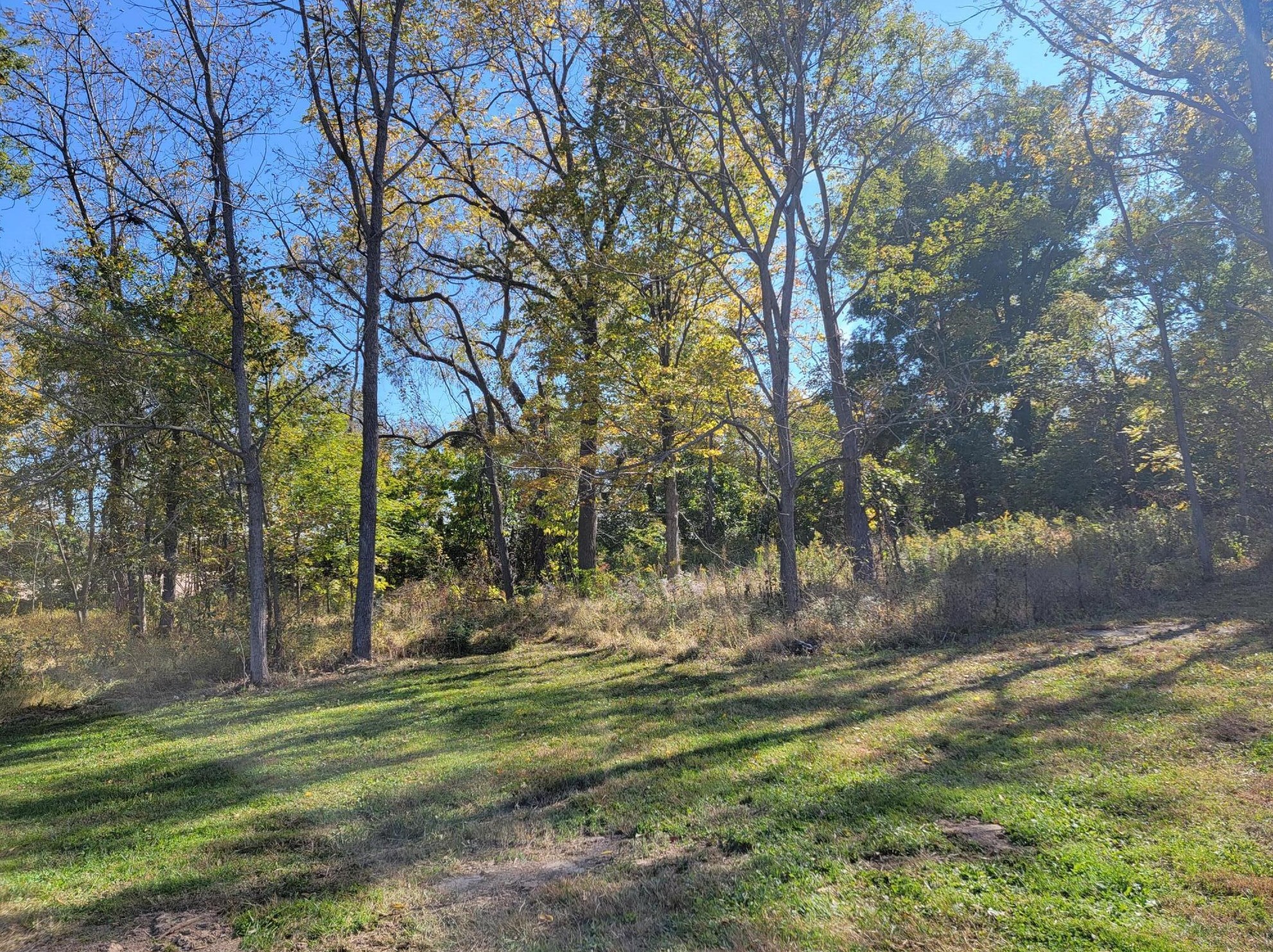 8320 Cattail Rd, Pleasantville OH  43148-9543 exterior