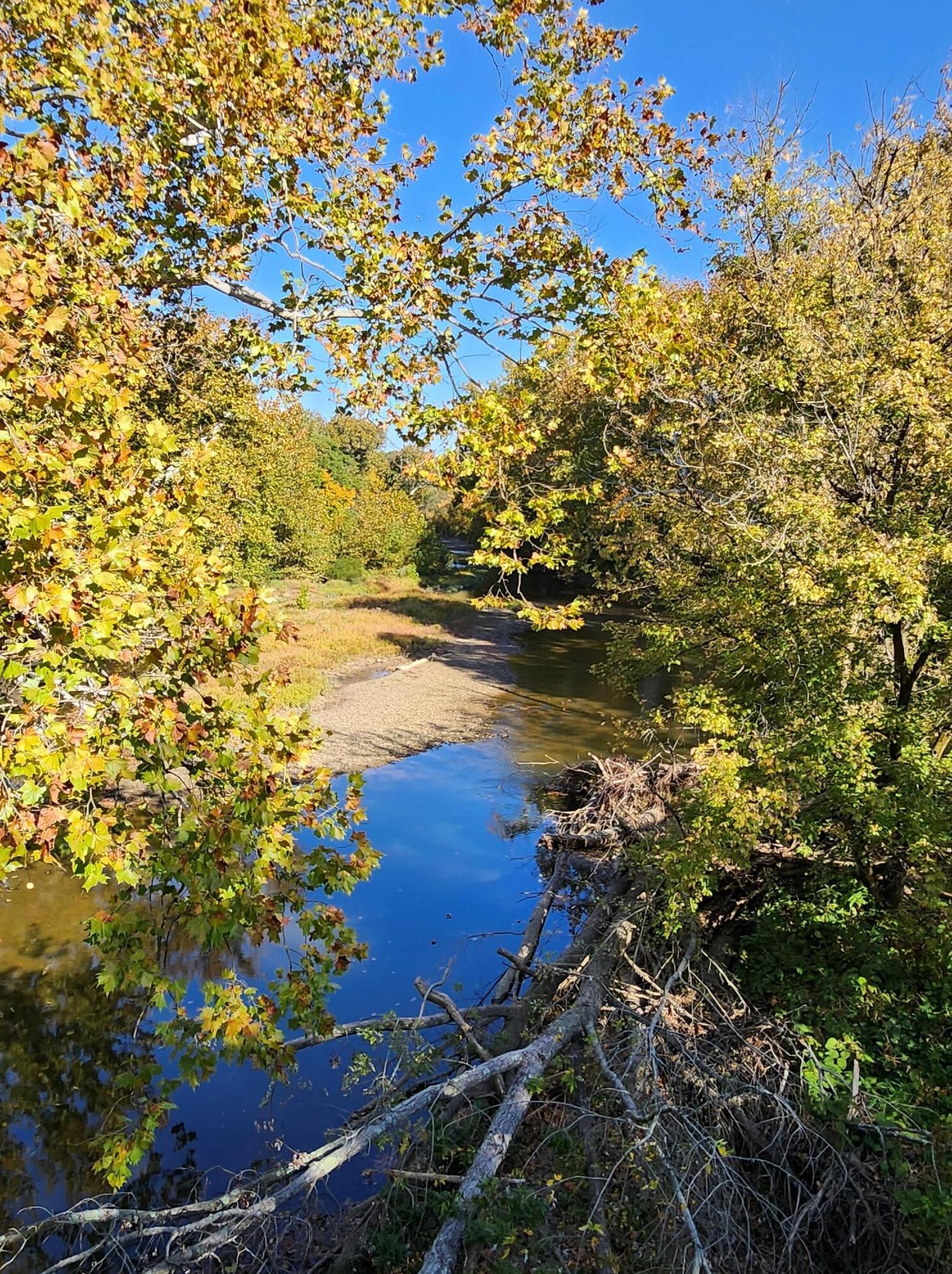 107 Price Rd, Columbus OH 43230-3303 exterior