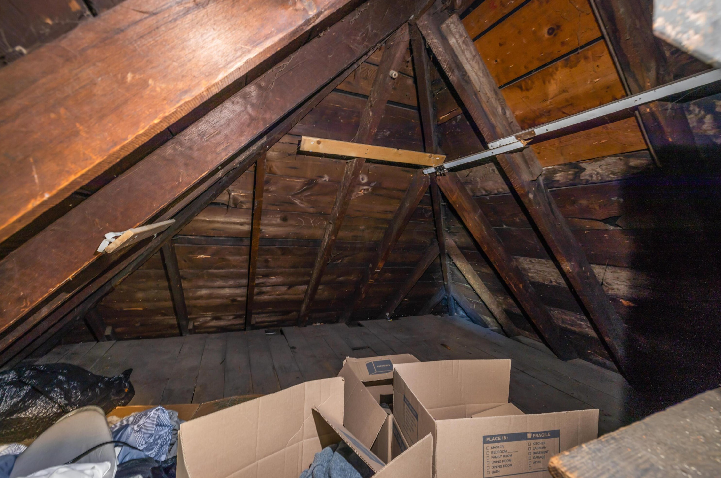 286 Skidmore St, Columbus OH 43215-4473 exterior