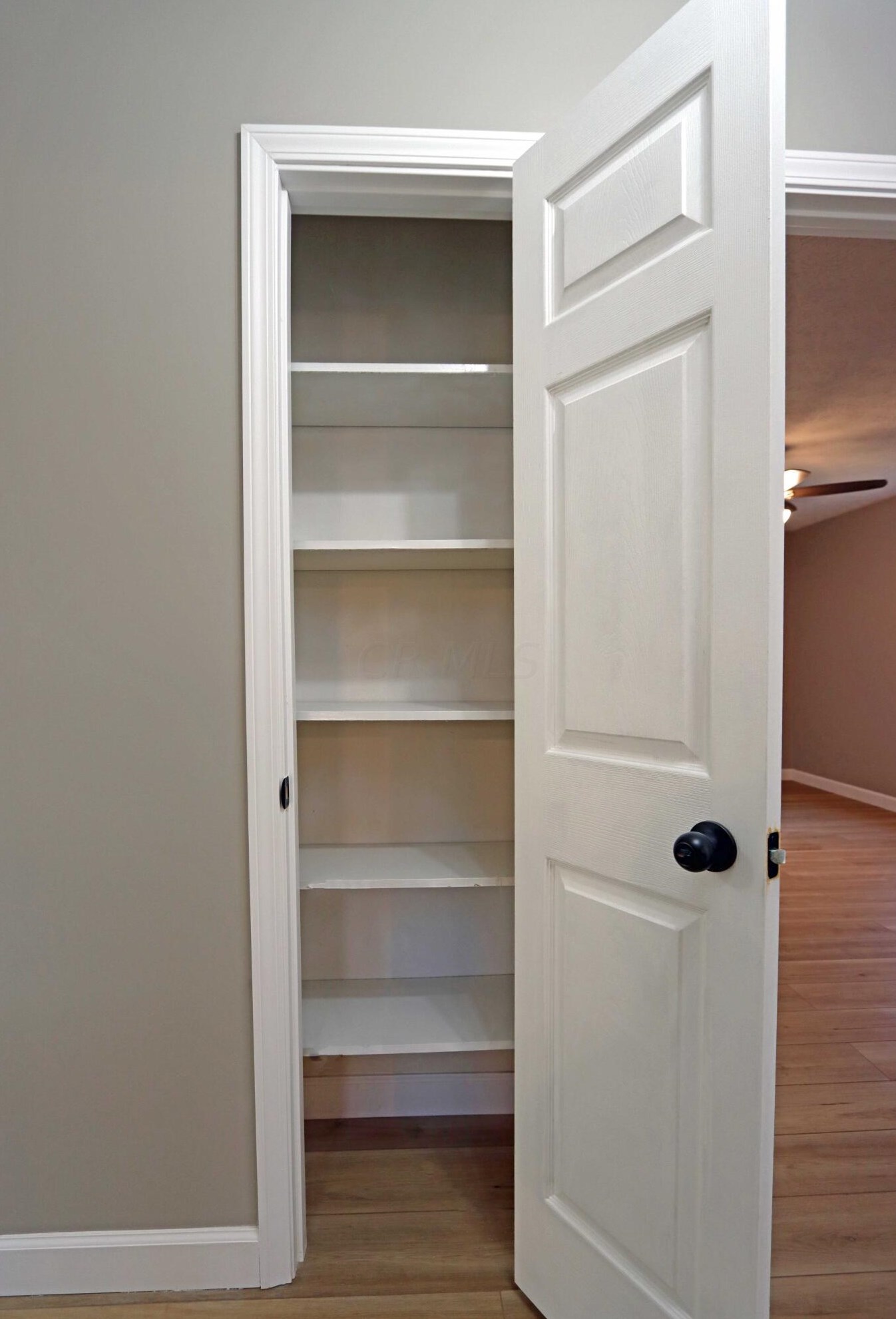 5724 Rachel Ct, Hilliard OH  43026-9619 exterior