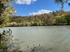 2912 Sycamore Ln, Pennsville, OH 43787