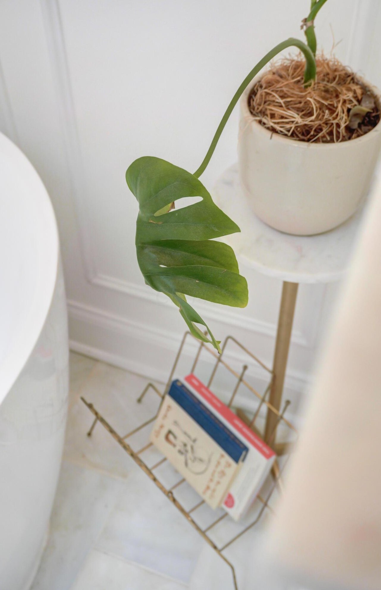 81 Lincoln St, Columbus OH  43215-1672 exterior