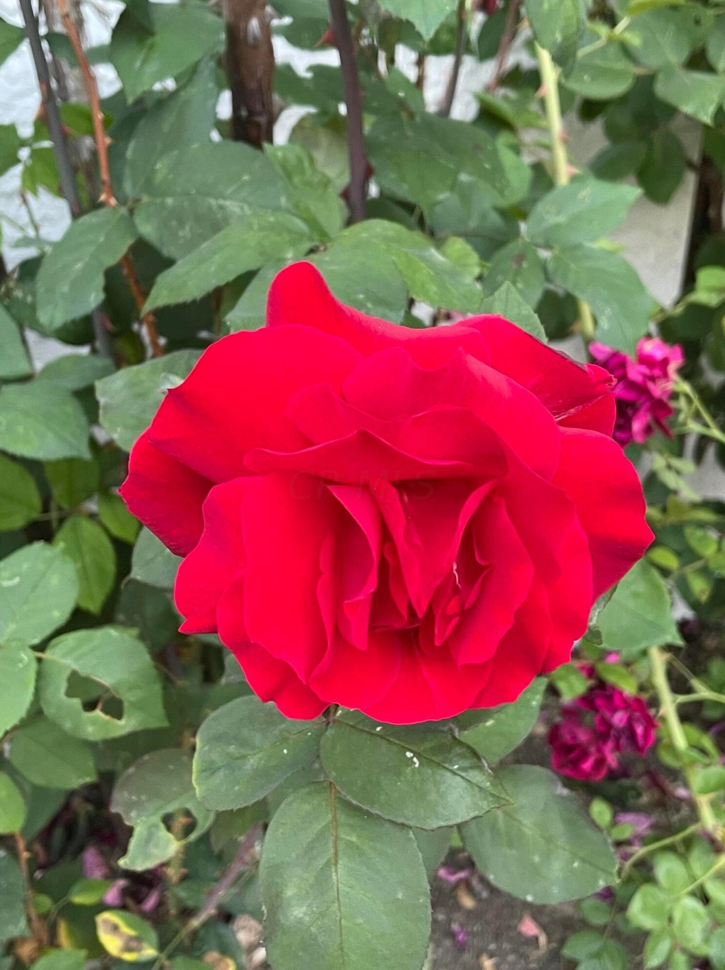 795 Colton Rd, Columbus OH 43207-3838 exterior