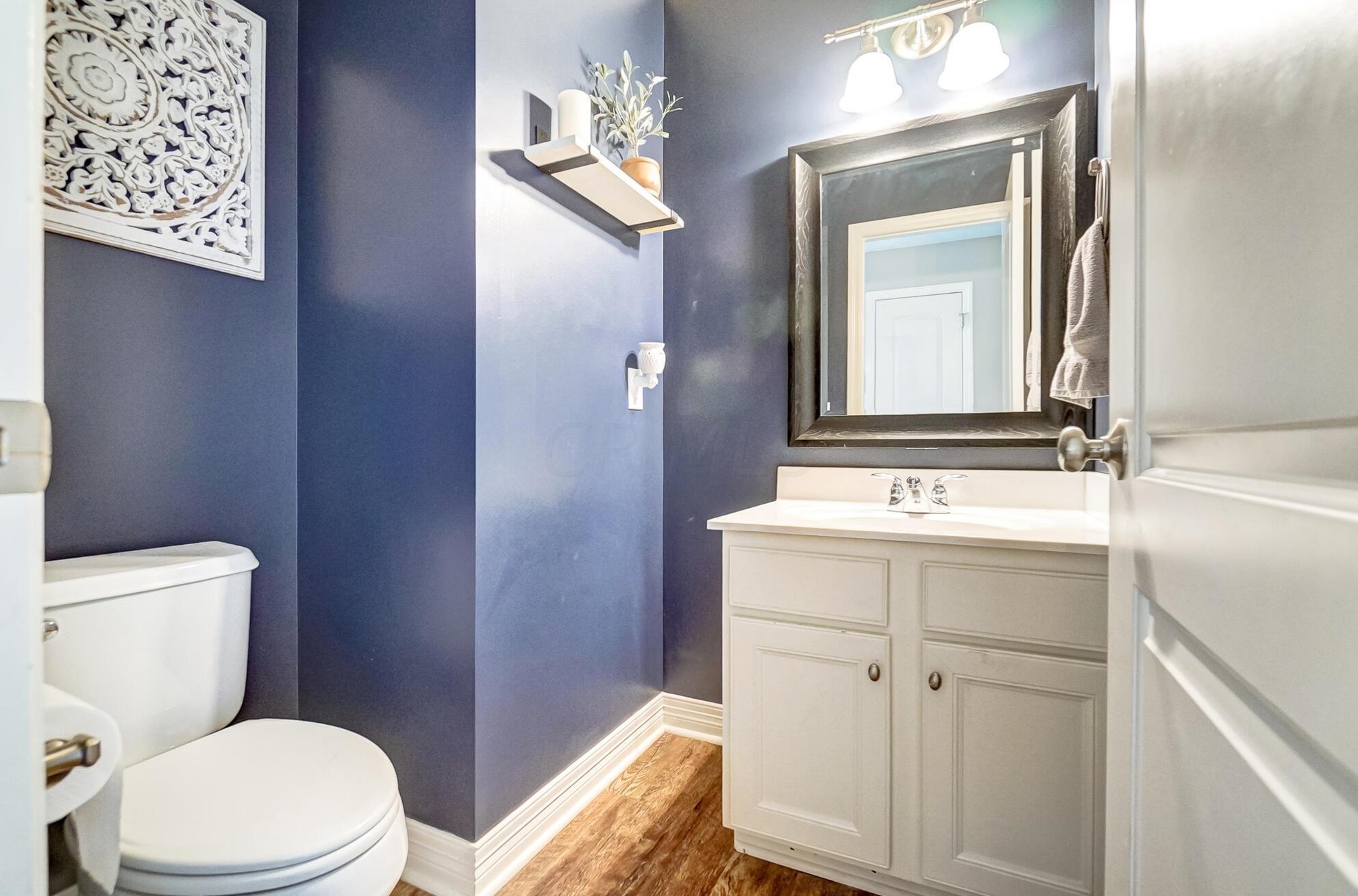 405 Amber Light Cir, Delaware OH  43015-5091 exterior