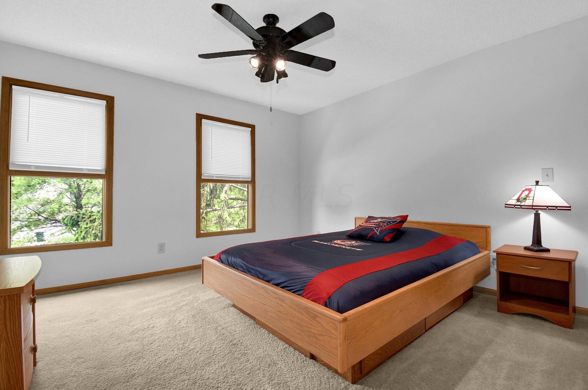 1189 Leicester Pl, Columbus OH 43235-2181 exterior