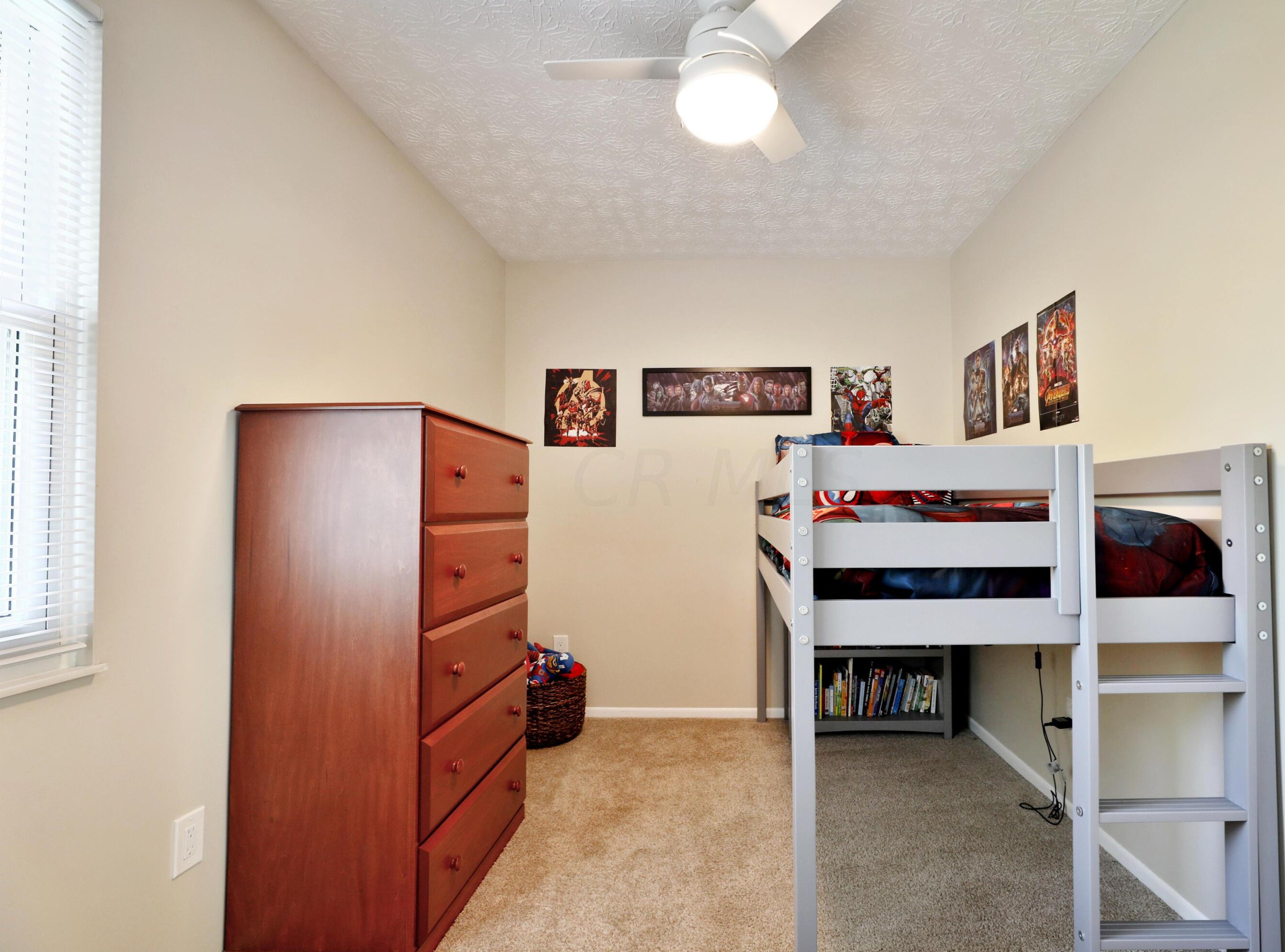 3642 Pinwherry Ct, Columbus OH 43221-5241 exterior