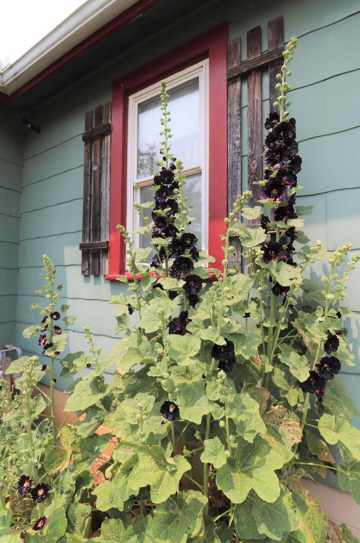 138 Marilla Rd, Columbus OH 43207-3815 exterior