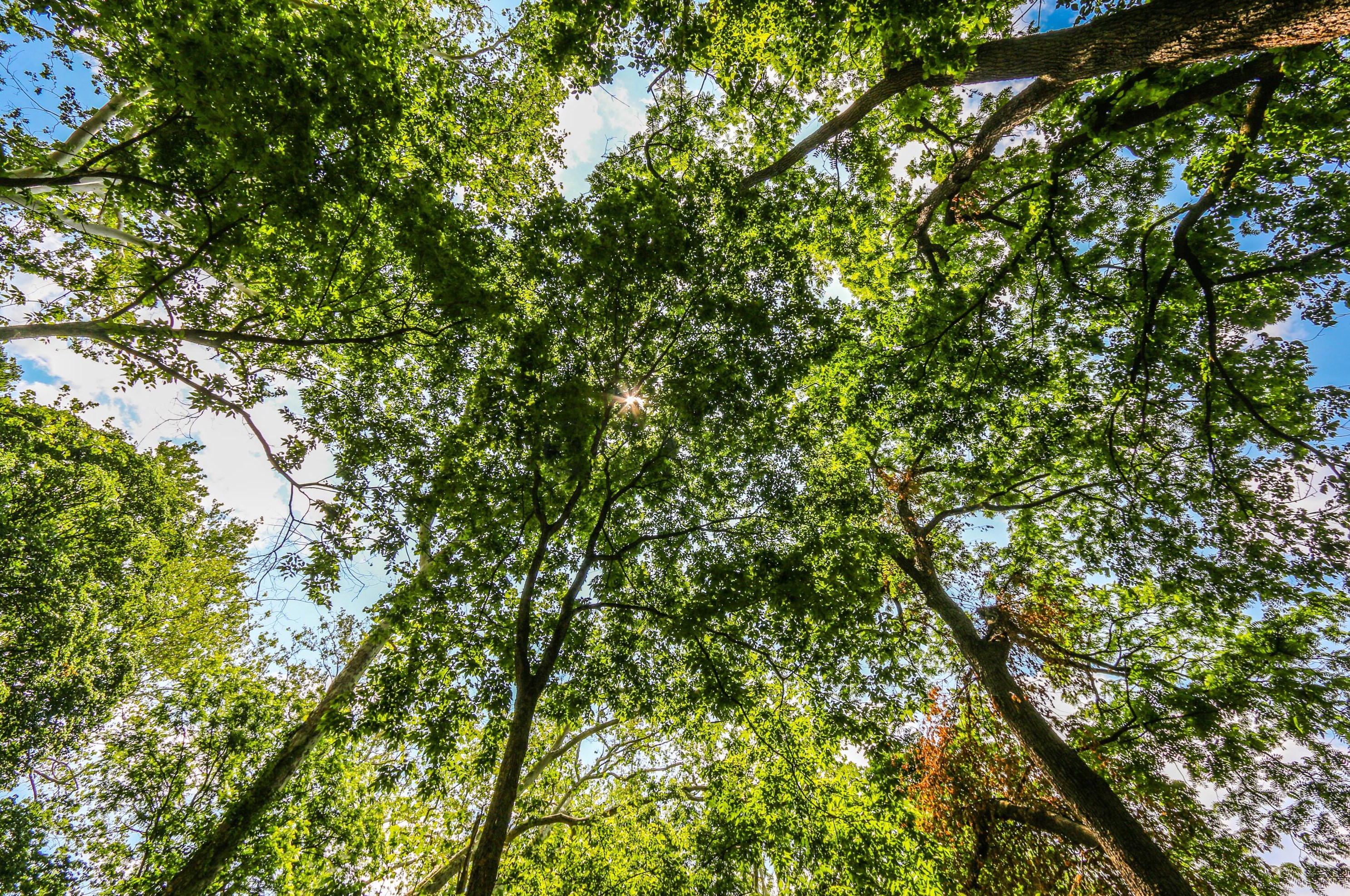 5795 Olentangy Blvd, Columbus OH 43085-3824 exterior