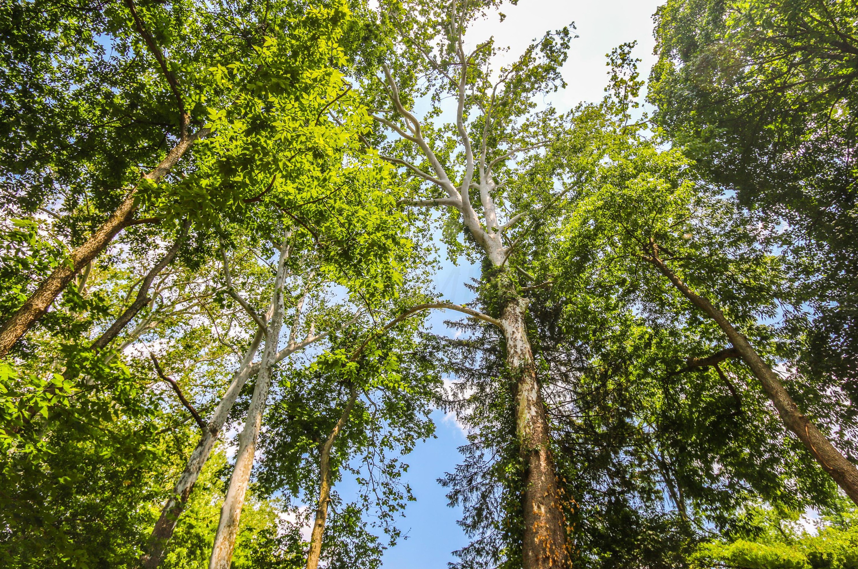 5795 Olentangy Blvd, Columbus OH 43085-3824 exterior