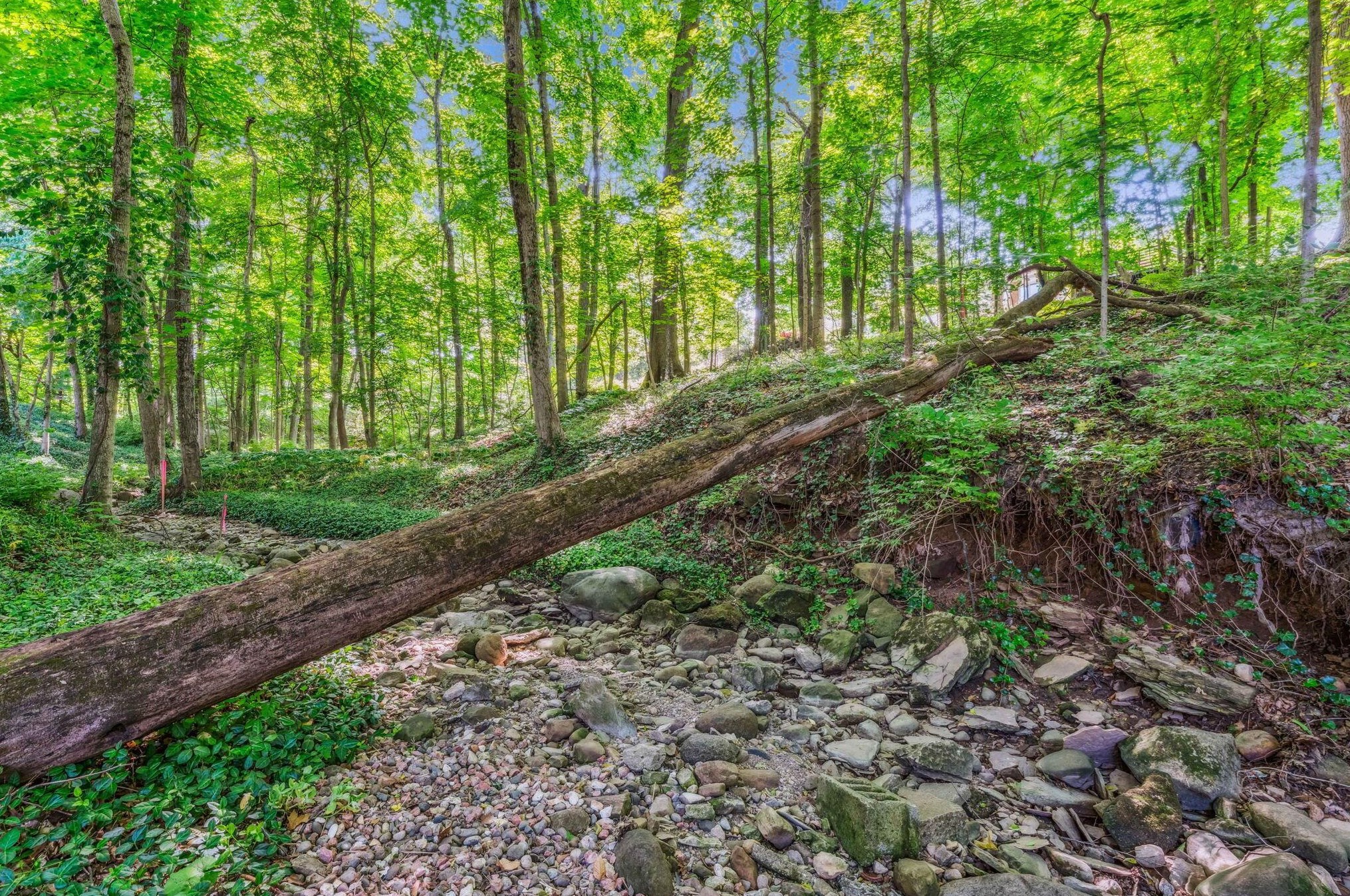 2781 Edgewood Rd, Columbus OH 43220-4517 exterior