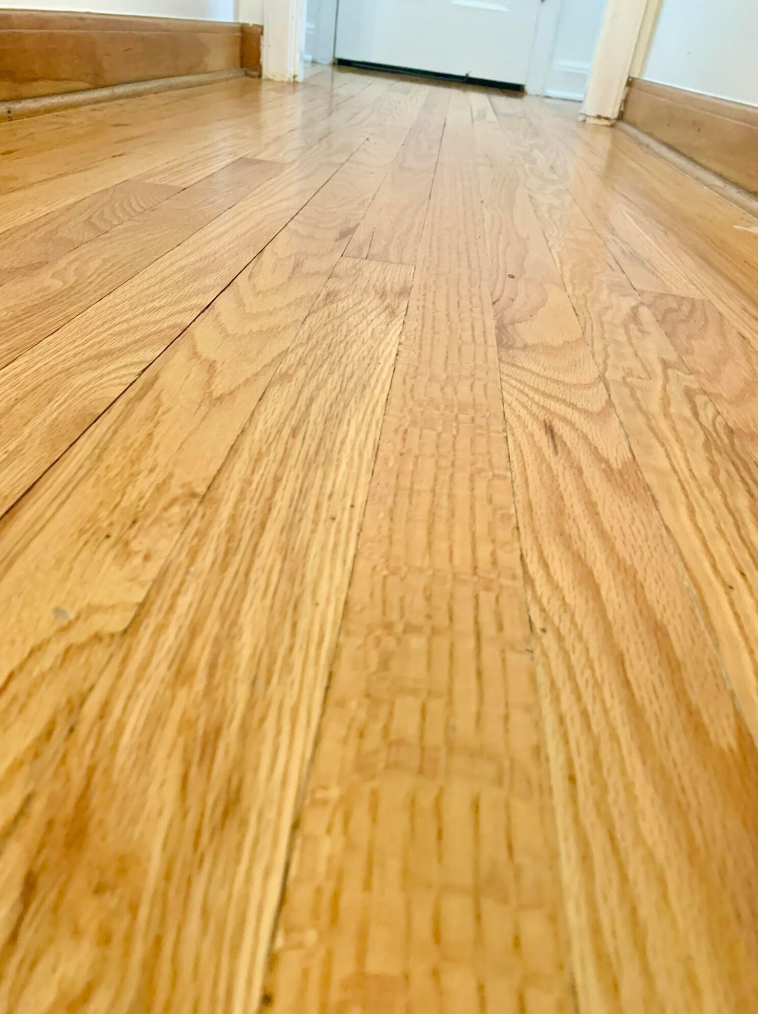 80 Edgevale Rd, Columbus OH 43221-1215 exterior