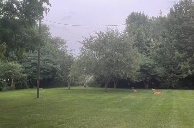 1486 Hickory Run Dr, Columbus OH 43204-1517 exterior