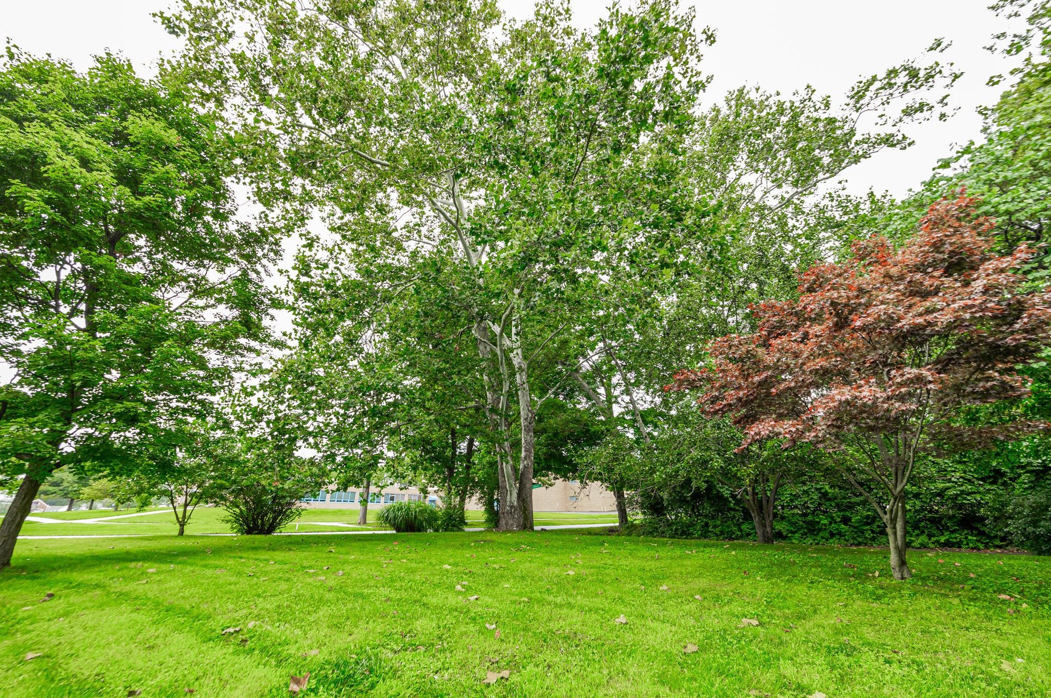 400 Schreyer Pl, Columbus OH 43214-2213 exterior