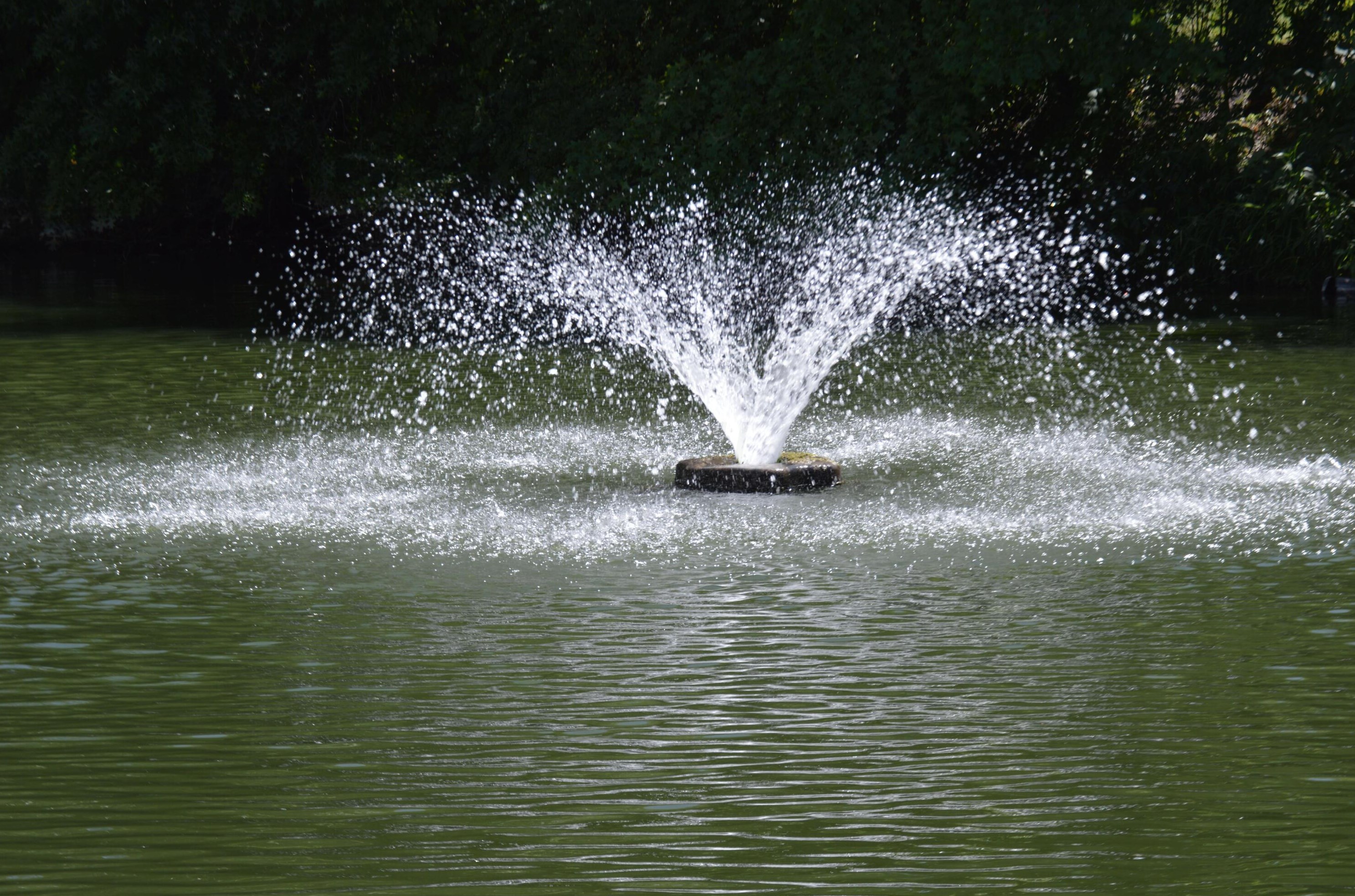 1203 Sanctuary Pl, Columbus OH 43230-8490 exterior