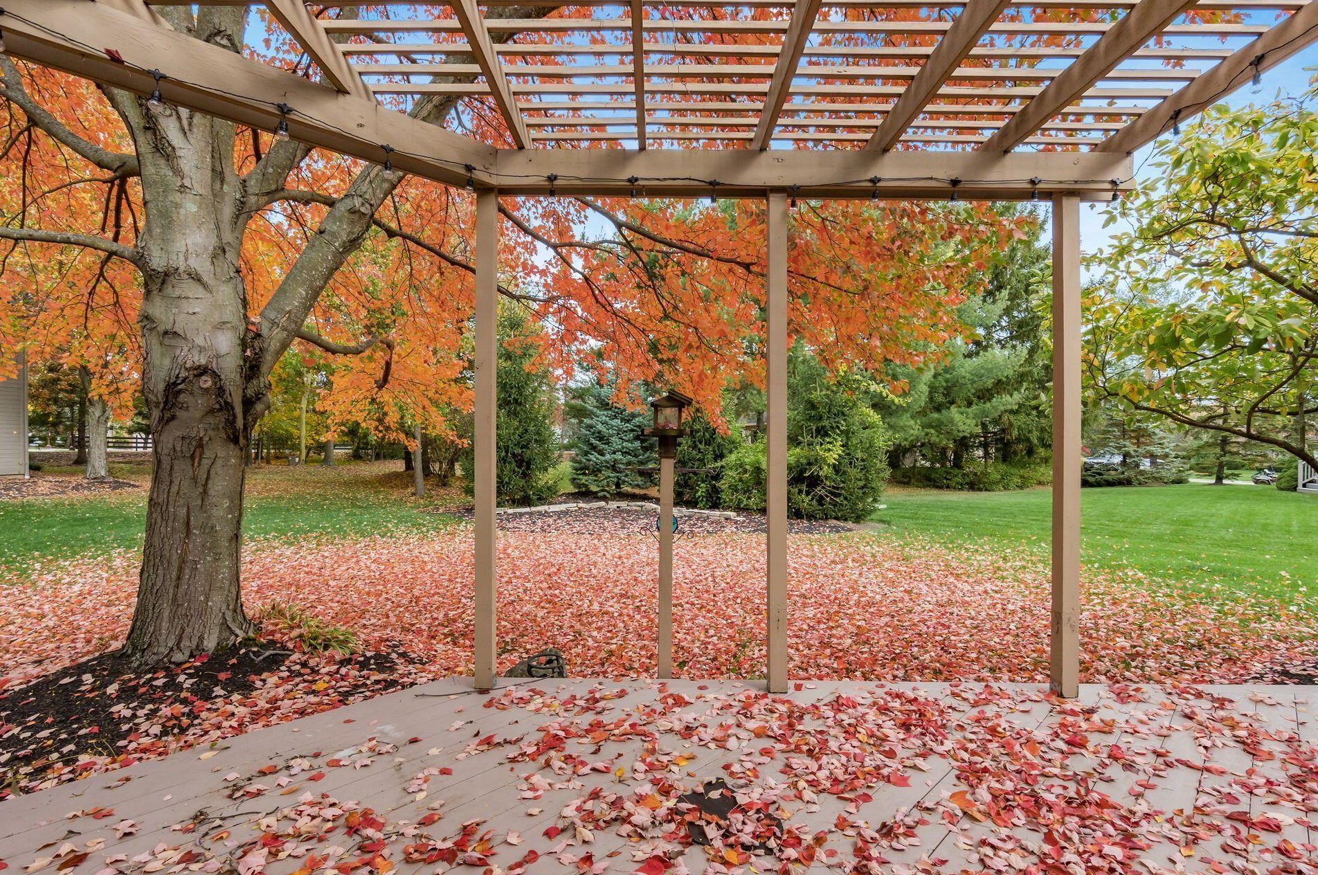 6168 Abbotsford Dr, Dublin OH  43017-8674 exterior