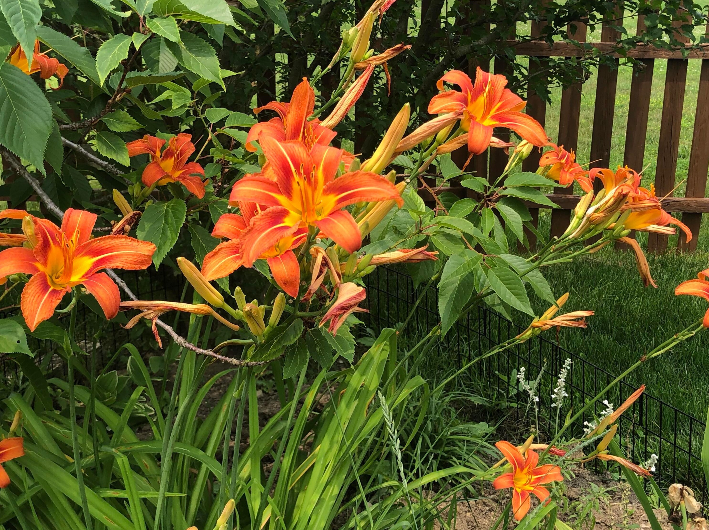 9226 Prestwick Grn Dr, Columbus OH 43240-2137 exterior