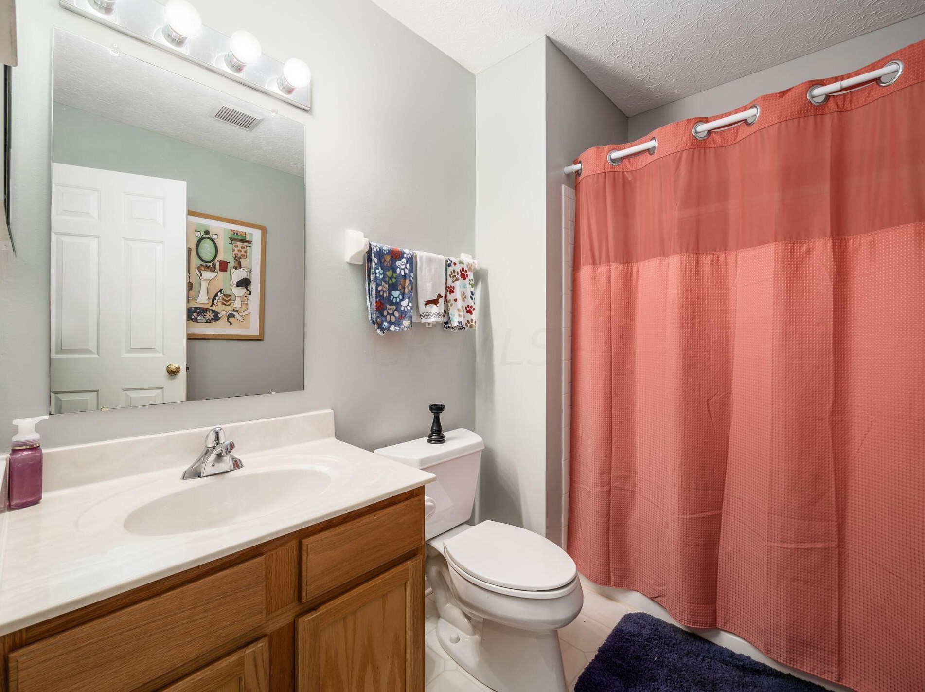 438 Wooster St, Pickerington OH  43147-9366 exterior