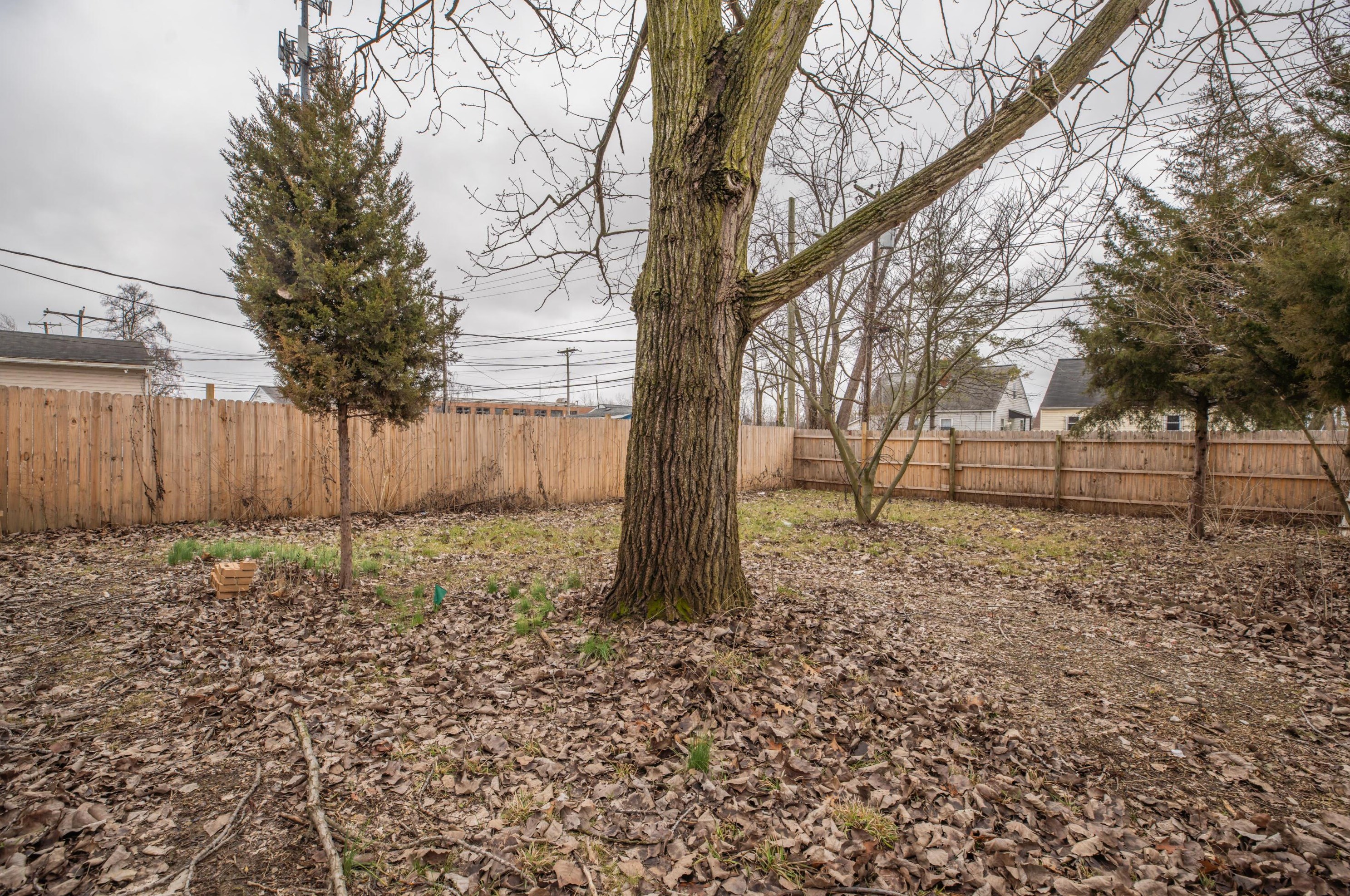 2203 Grasmere Ave, Columbus OH 43211-2142 exterior