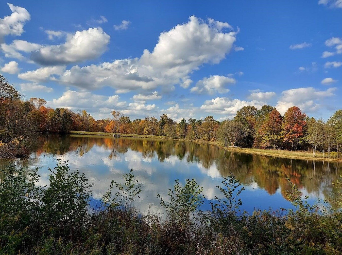 507 Bulen Ave, Columbus OH 43205-2504 exterior