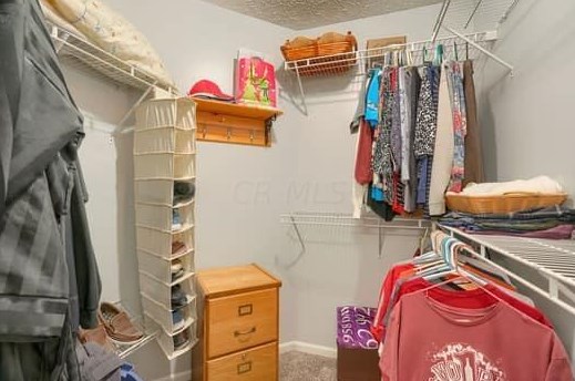 6690 Lakeview Cir, Cnl Wnchstr OH  43110-1255 exterior