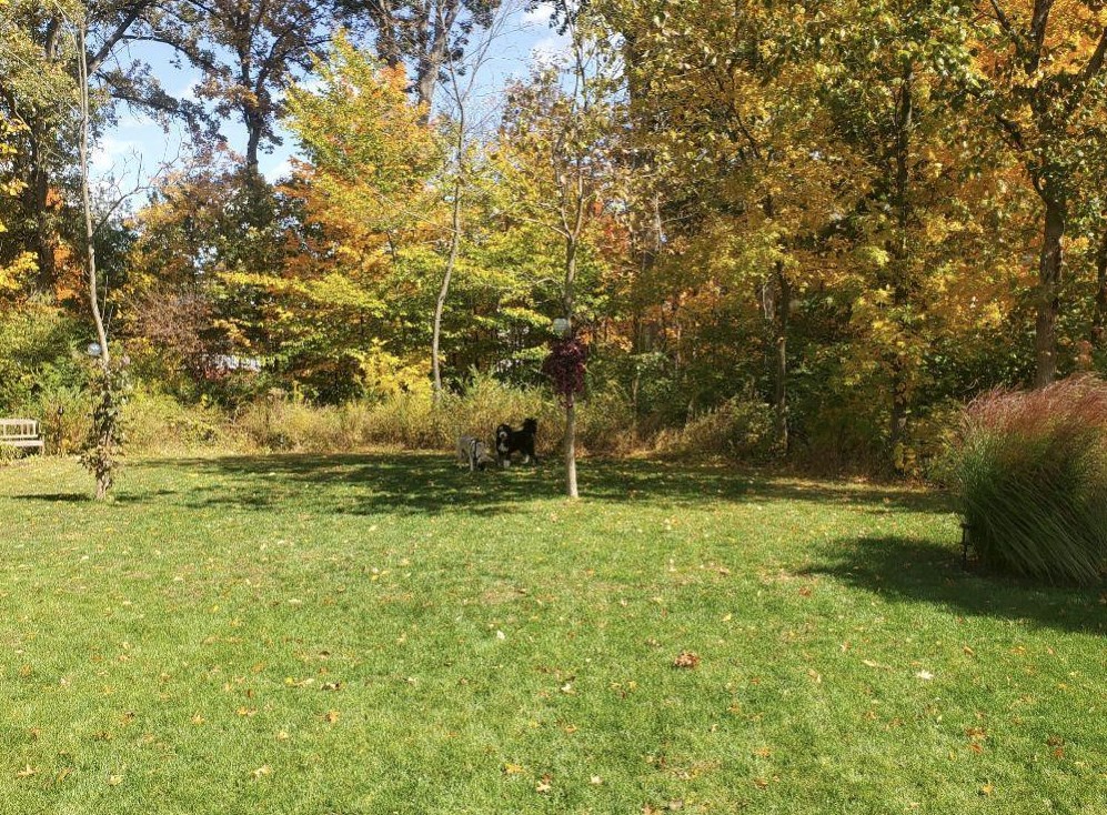 498 Helmbright Dr, Columbus OH  43230-4396 exterior