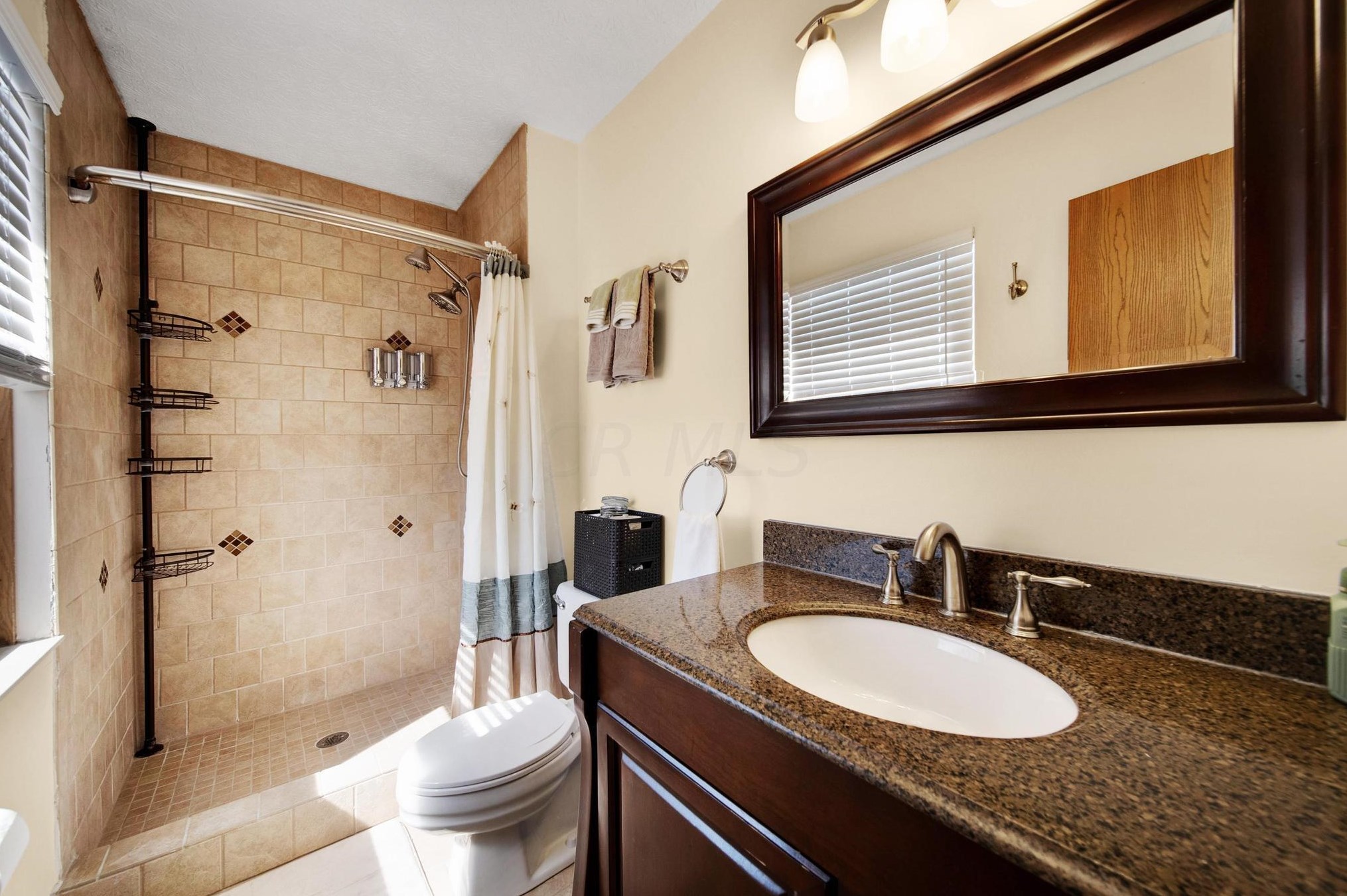 3180 Wild Dunes Ct, Pickerington OH  43147-8742 exterior