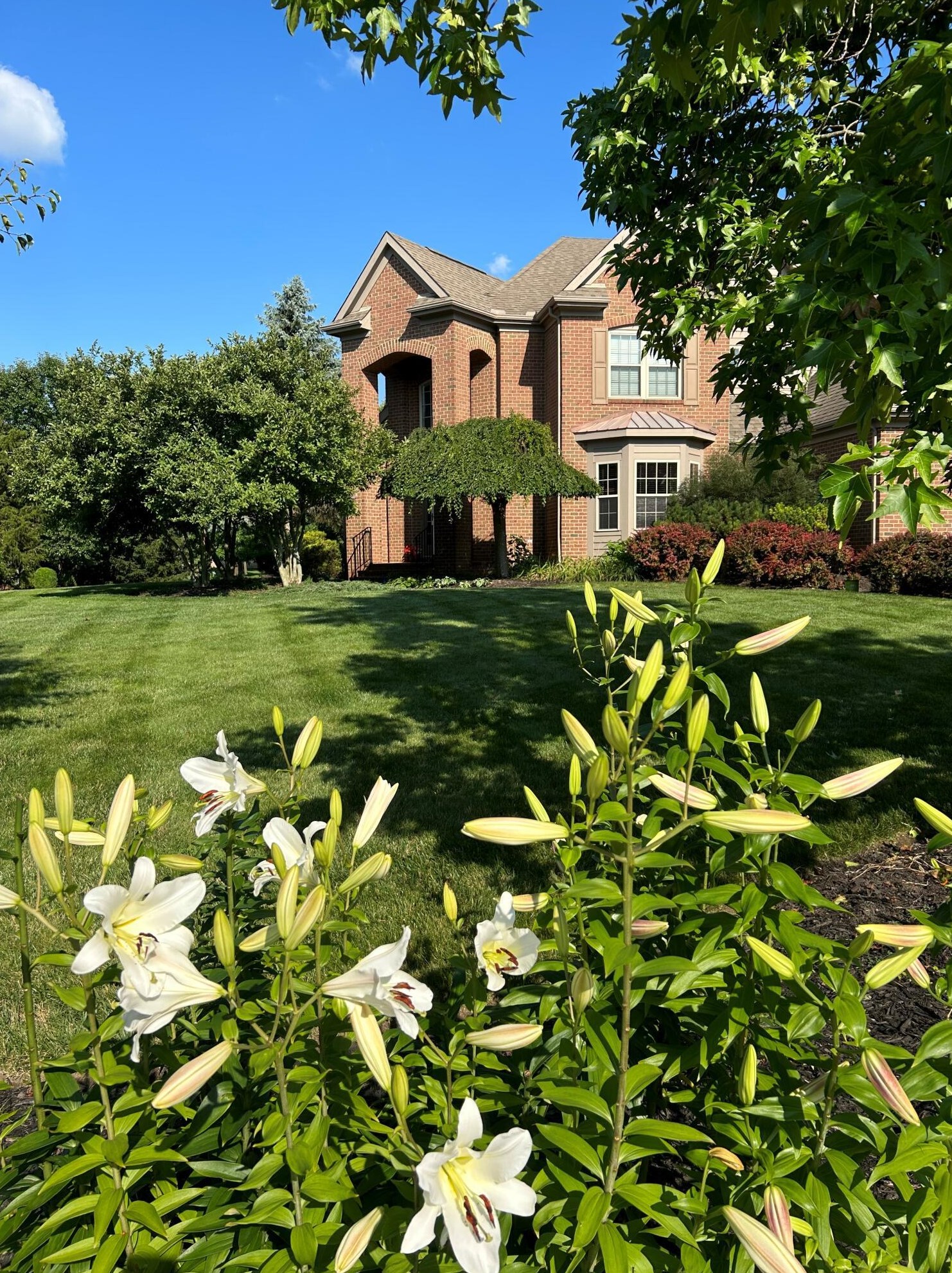 8244 Campden Lakes Blvd, Dublin OH  43016-8252 exterior