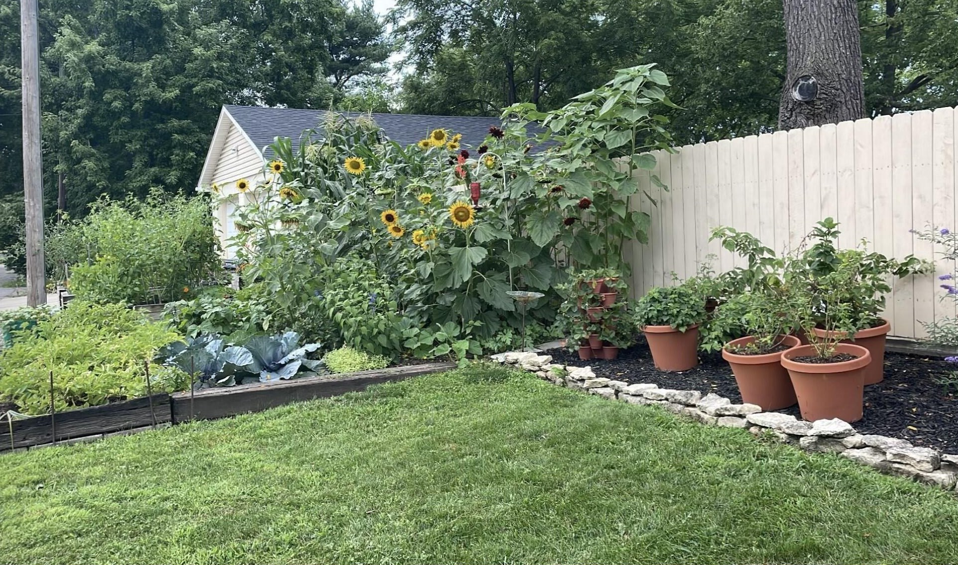 48 Columbus Ave, Delaware OH  43015-2414 exterior