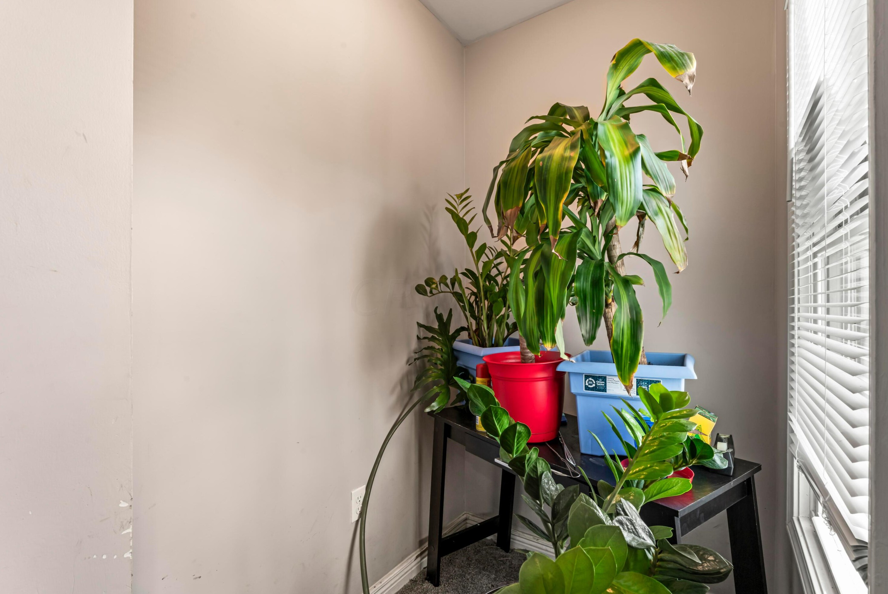 252 Cypress Ave, Columbus OH 43223-1405 exterior