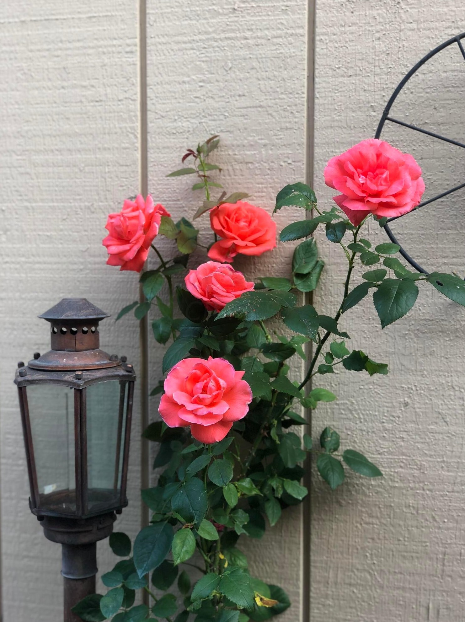 6283 Billington Dr, Columbus OH 43213-3479 exterior