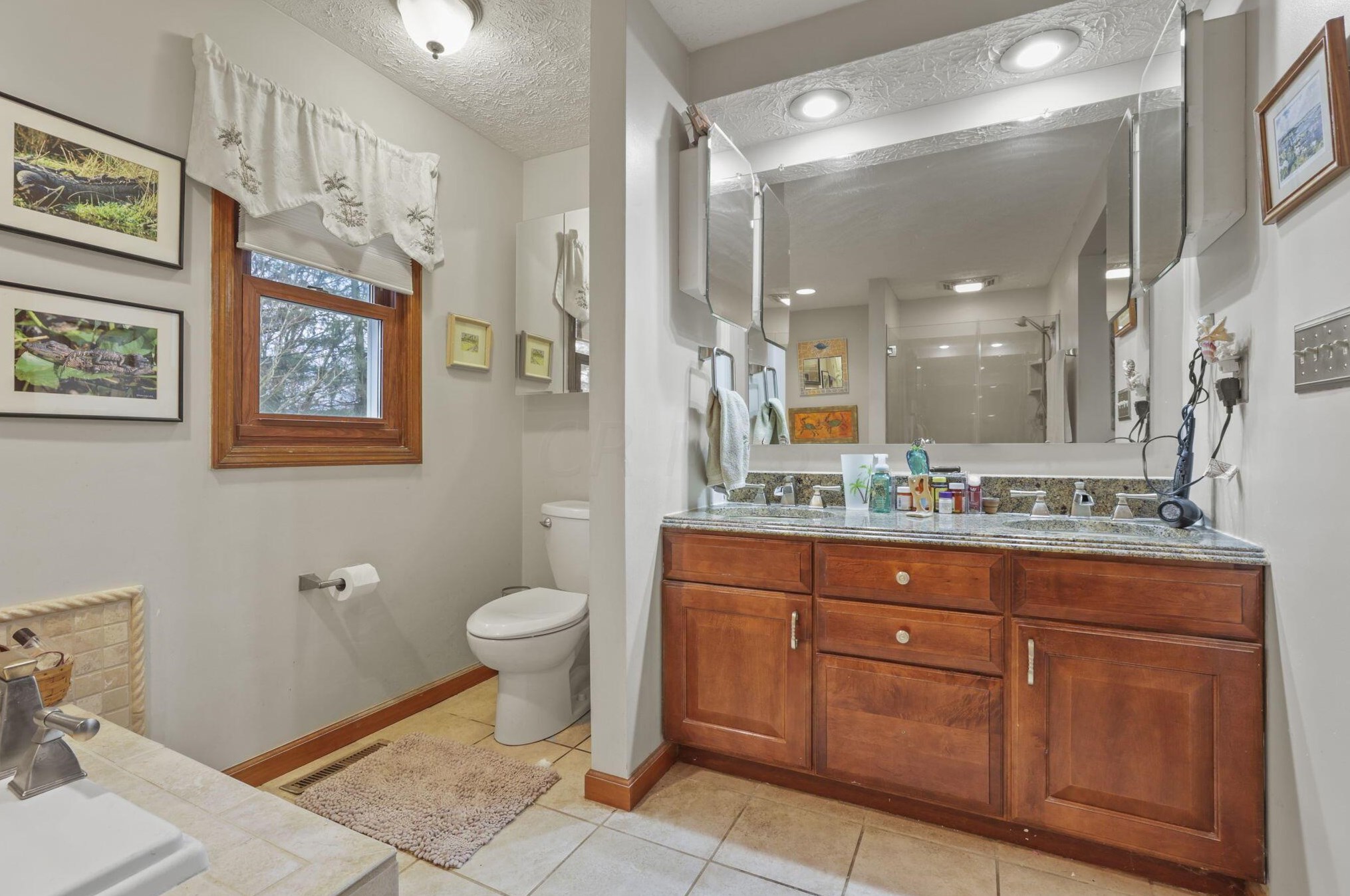 9875 Hounsdale Dr, Pickerington OH  43147-9786 exterior