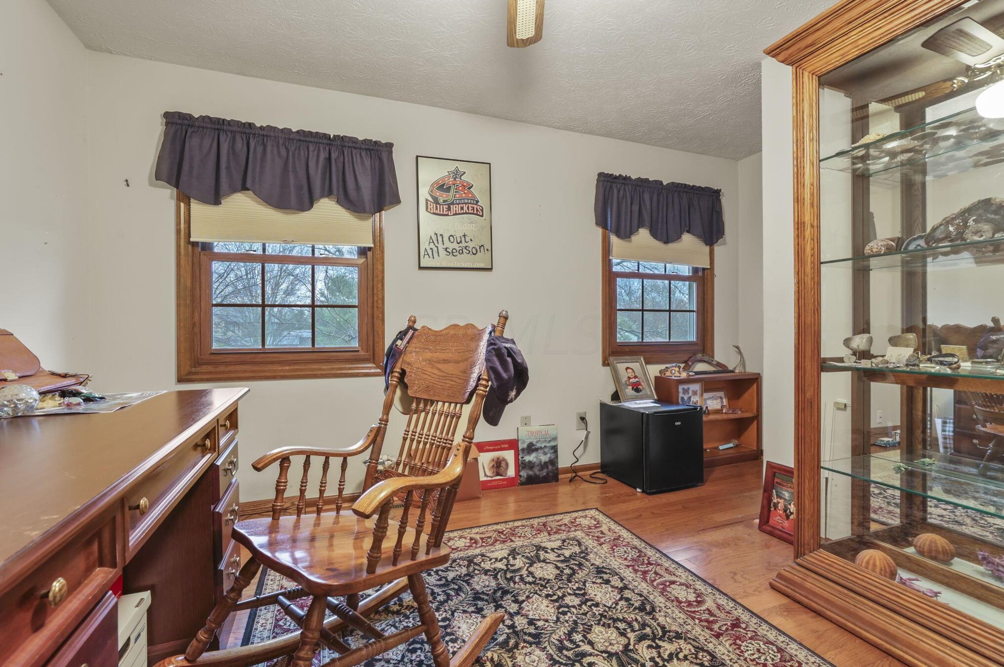 9875 Hounsdale Dr, Pickerington OH  43147-9786 exterior