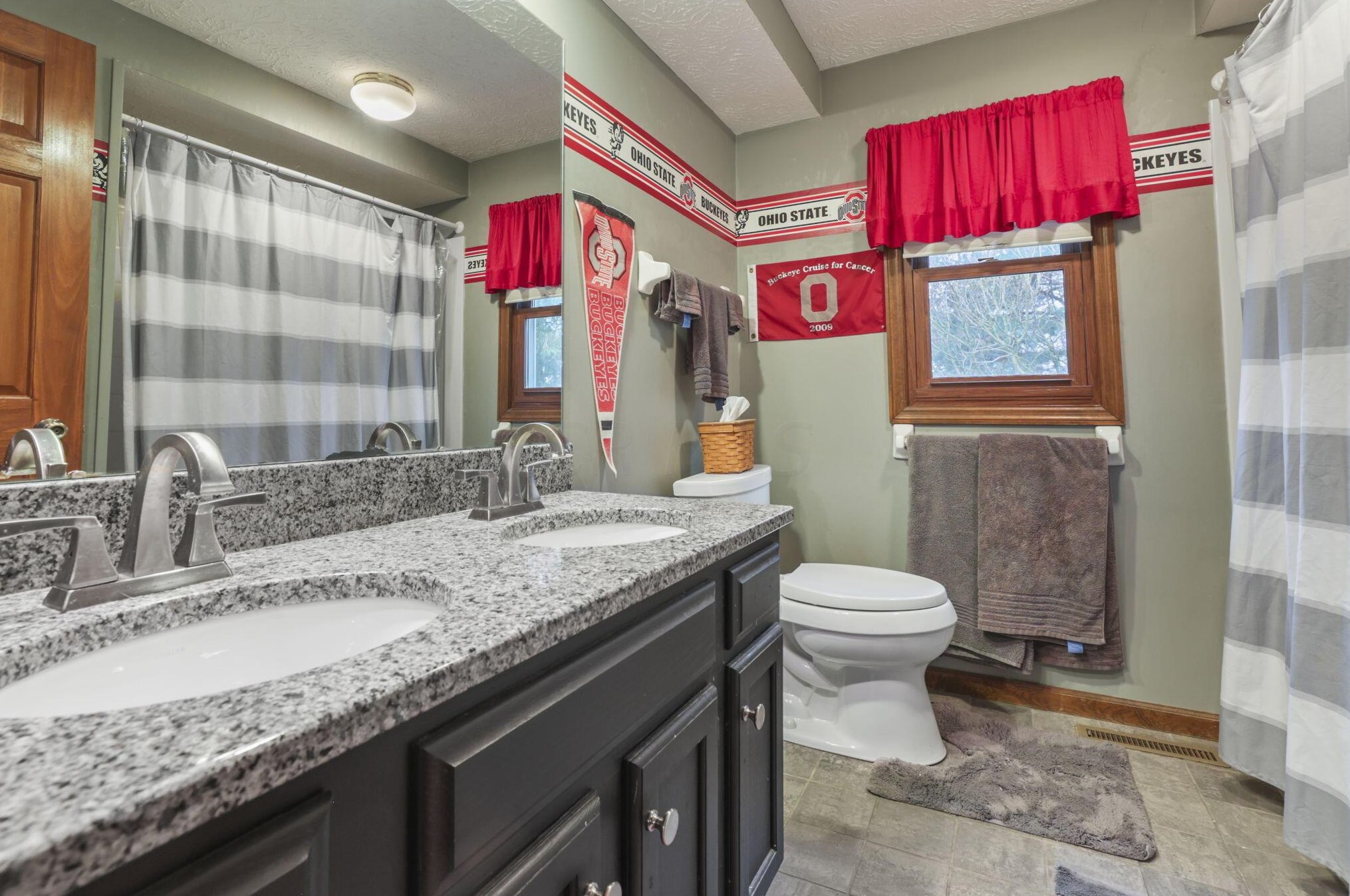 9875 Hounsdale Dr, Pickerington OH  43147-9786 exterior