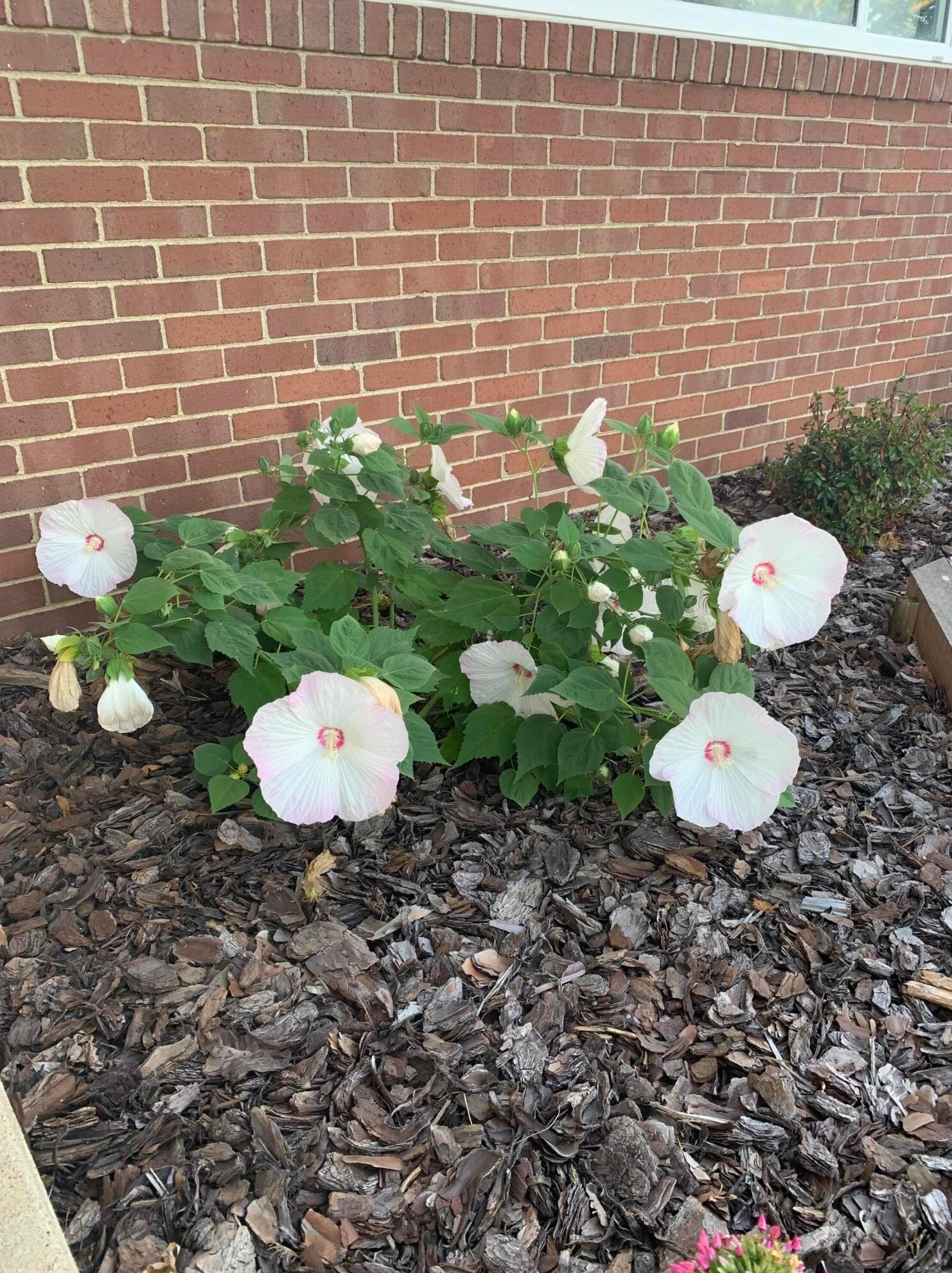 4066 Etna St, Columbus OH 43213-2382 exterior